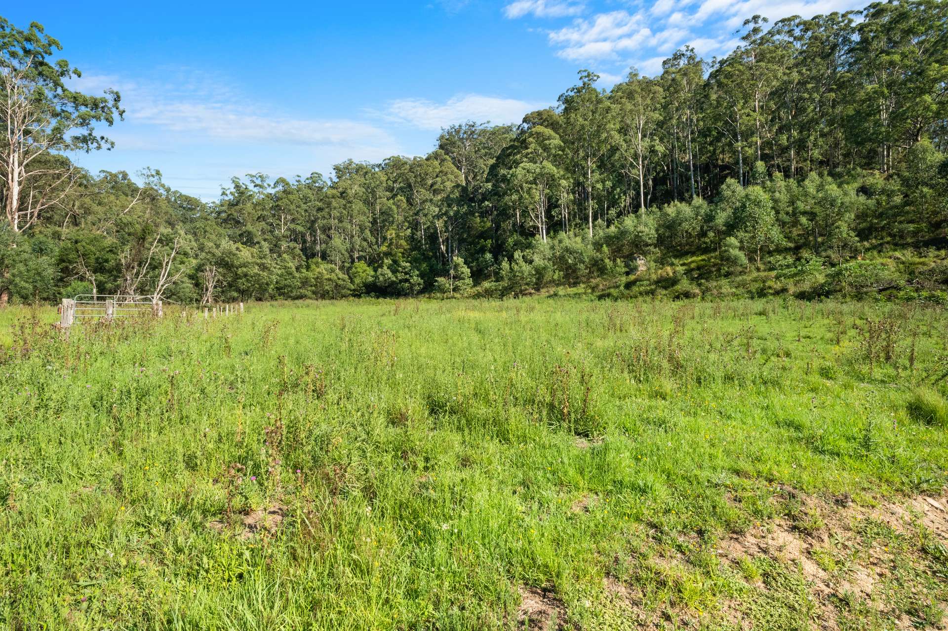 301 Bakers Road, Putty For Sale by Farmbuy.com - image 5
