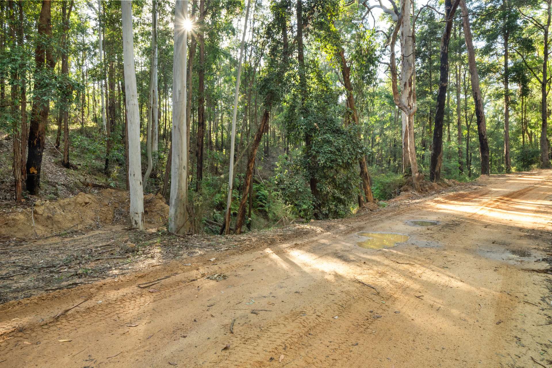301 Bakers Road, Putty For Sale by Farmbuy.com - image 9