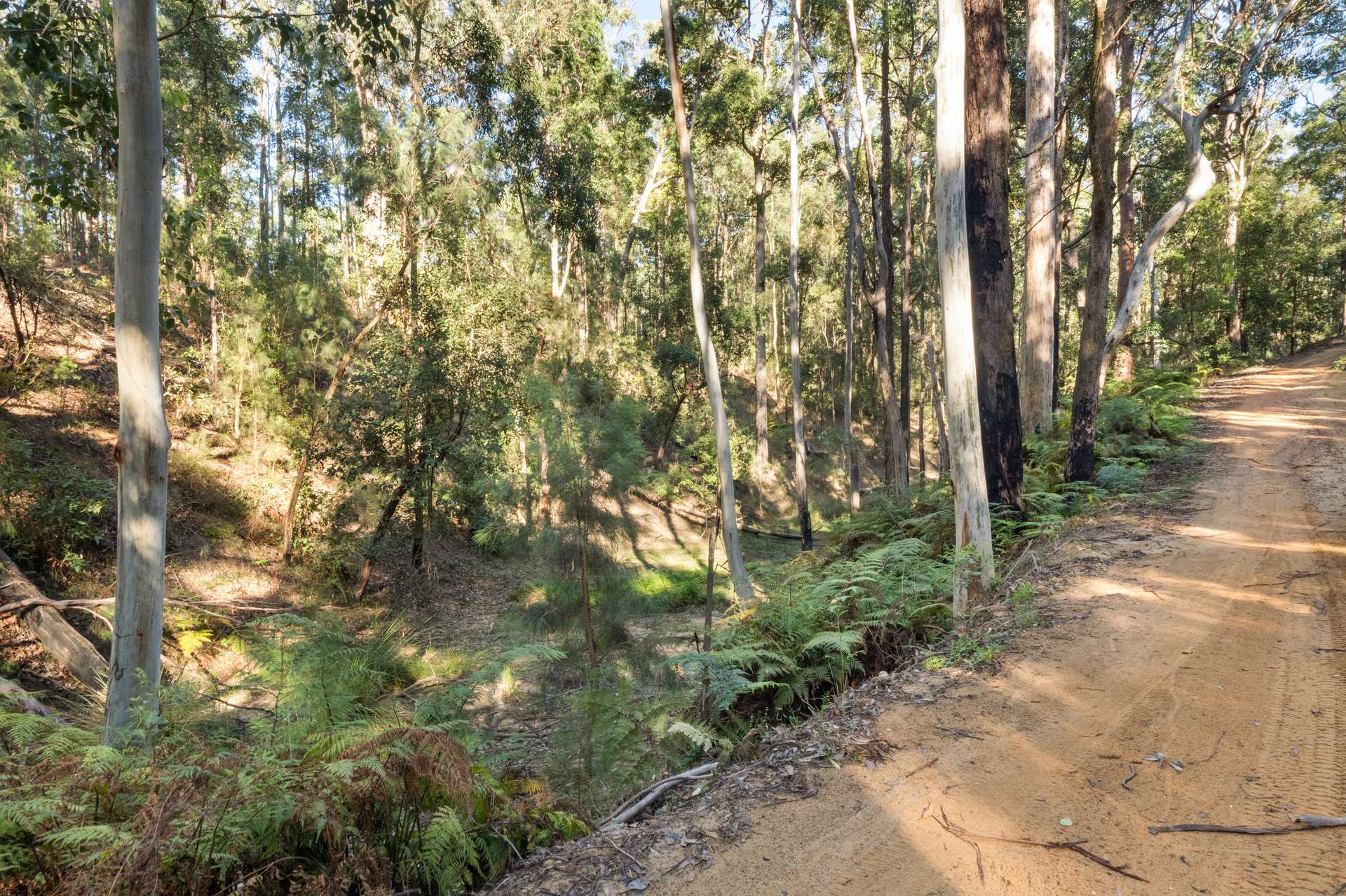 301 Bakers Road, Putty For Sale by Farmbuy.com - image 8