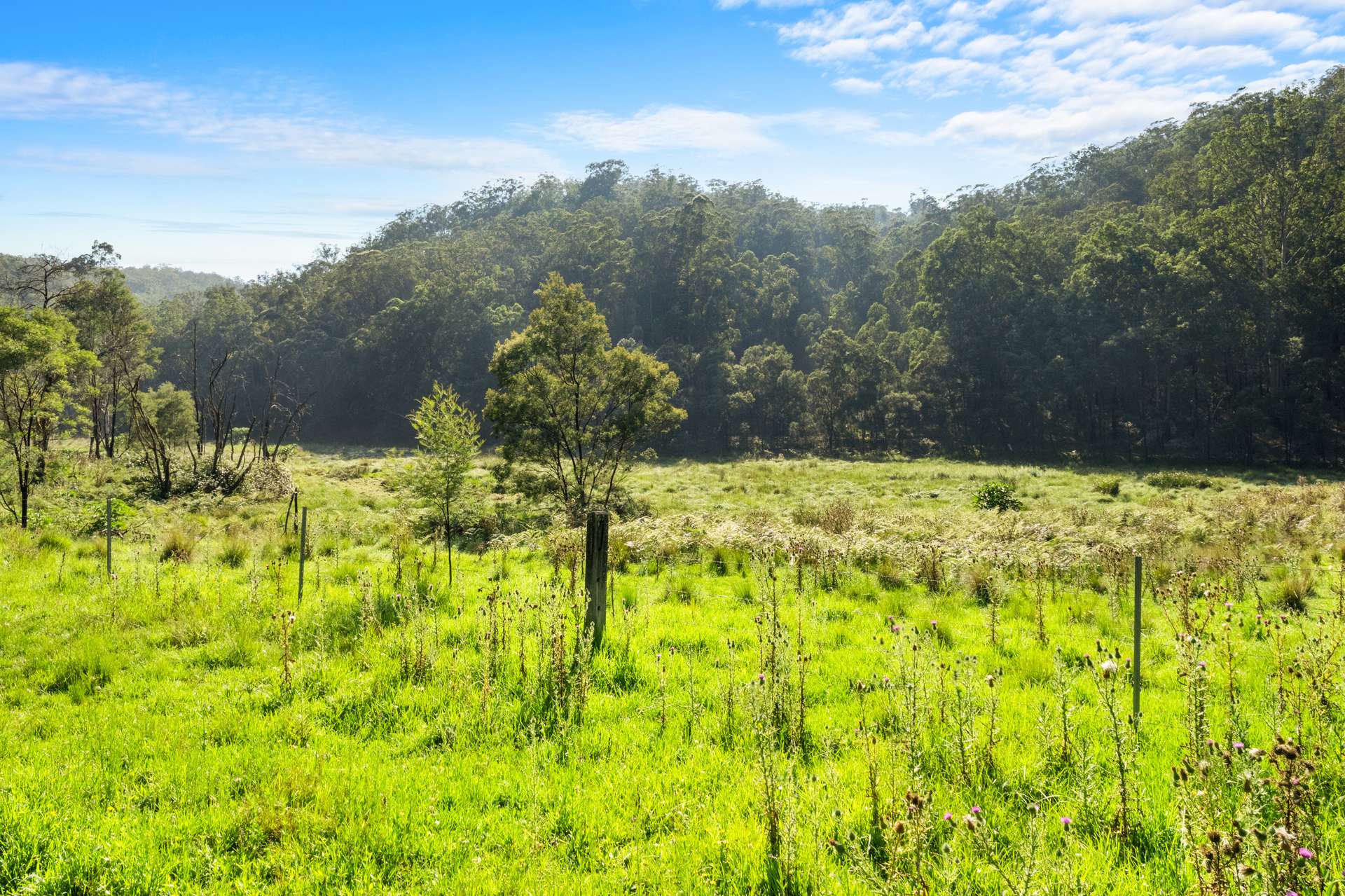 301 Bakers Road, Putty For Sale by Farmbuy.com - image 1