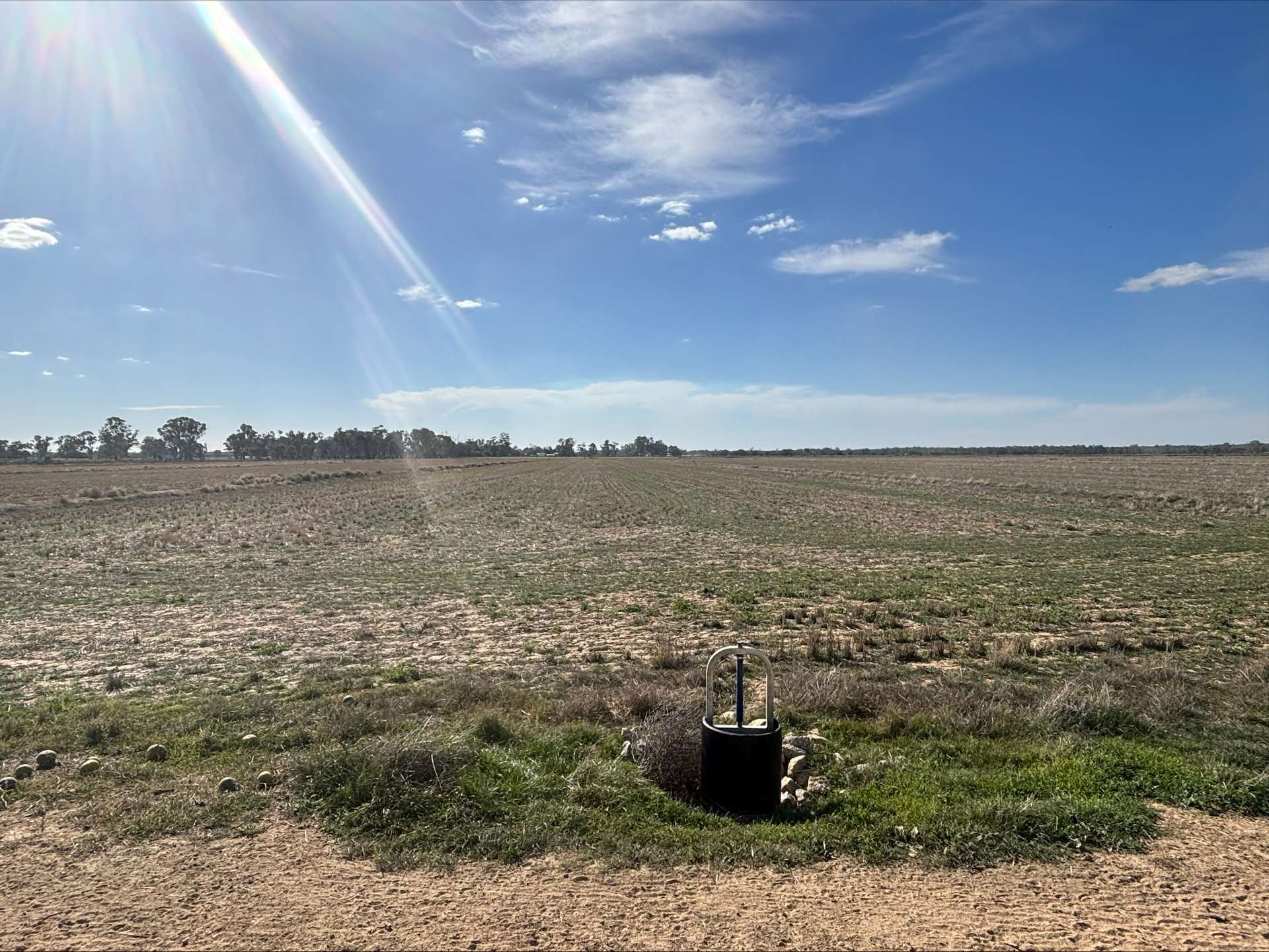 Lot 2 Koondrook-Murrabit Road,, Koondrook For Sale by Farmbuy.com - image 15