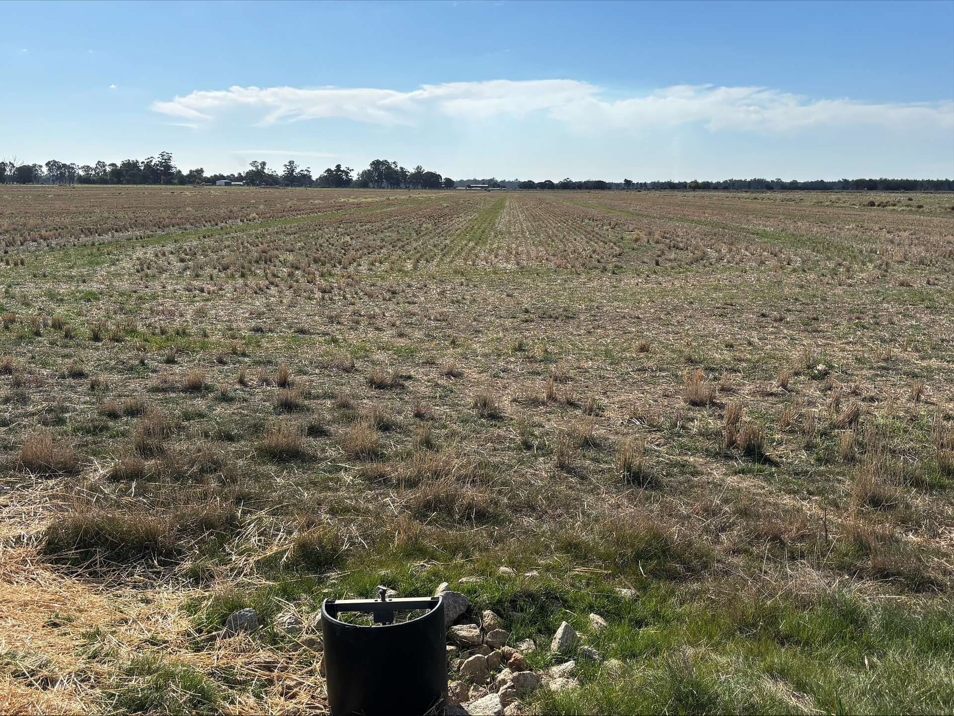 Lot 2 Koondrook-Murrabit Road,, Koondrook For Sale by Farmbuy.com - image 1