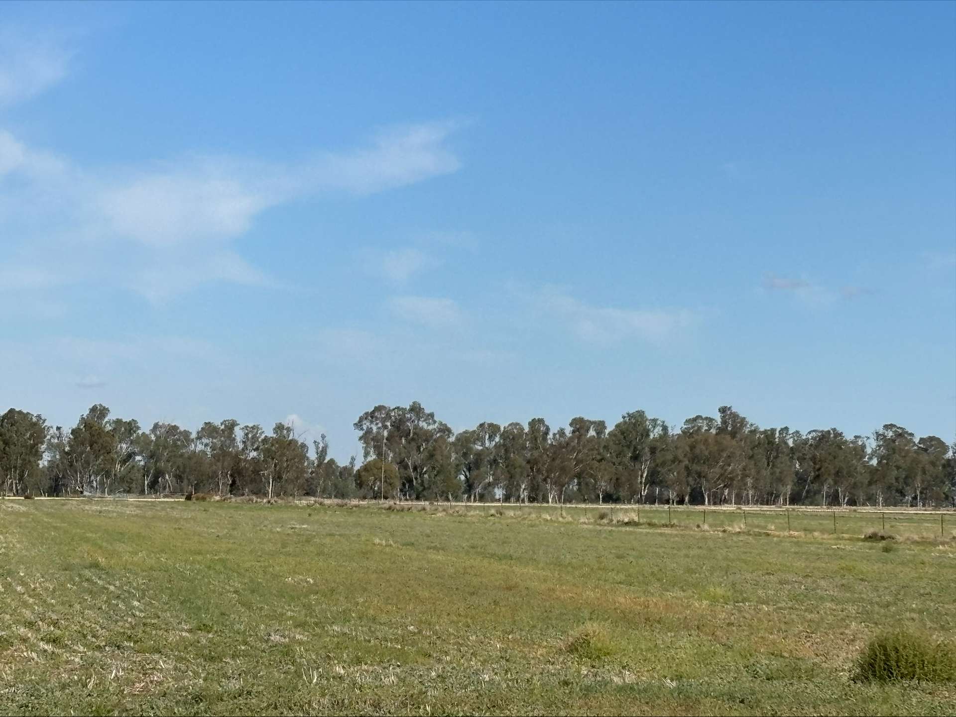 Lot 2 Koondrook-Murrabit Road,, Koondrook For Sale by Farmbuy.com - image 4