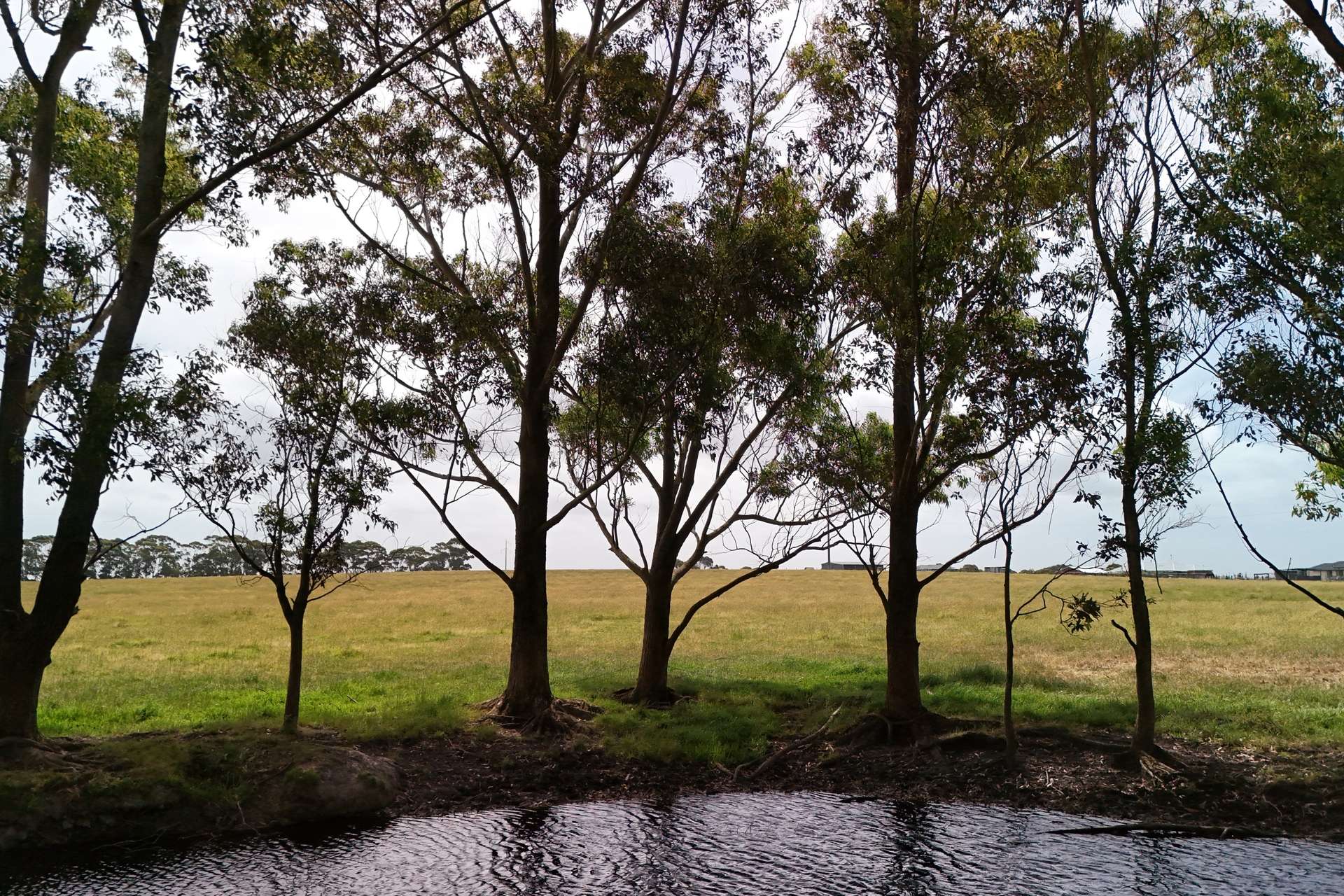 238 Link Road, Marbelup For Sale by Farmbuy.com - image 18