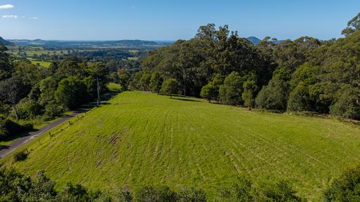 Farm For Sale - NSW - Jaspers Brush - 2535 - Jaspers Brush Trophy Pocket 