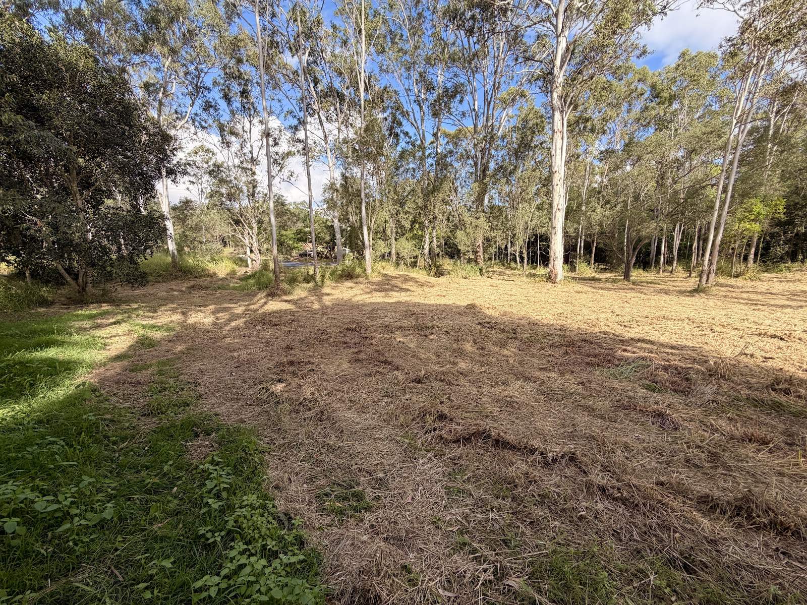 9 Gentle Annie Road, Apple Tree Creek For Sale by Farmbuy.com - image 16
