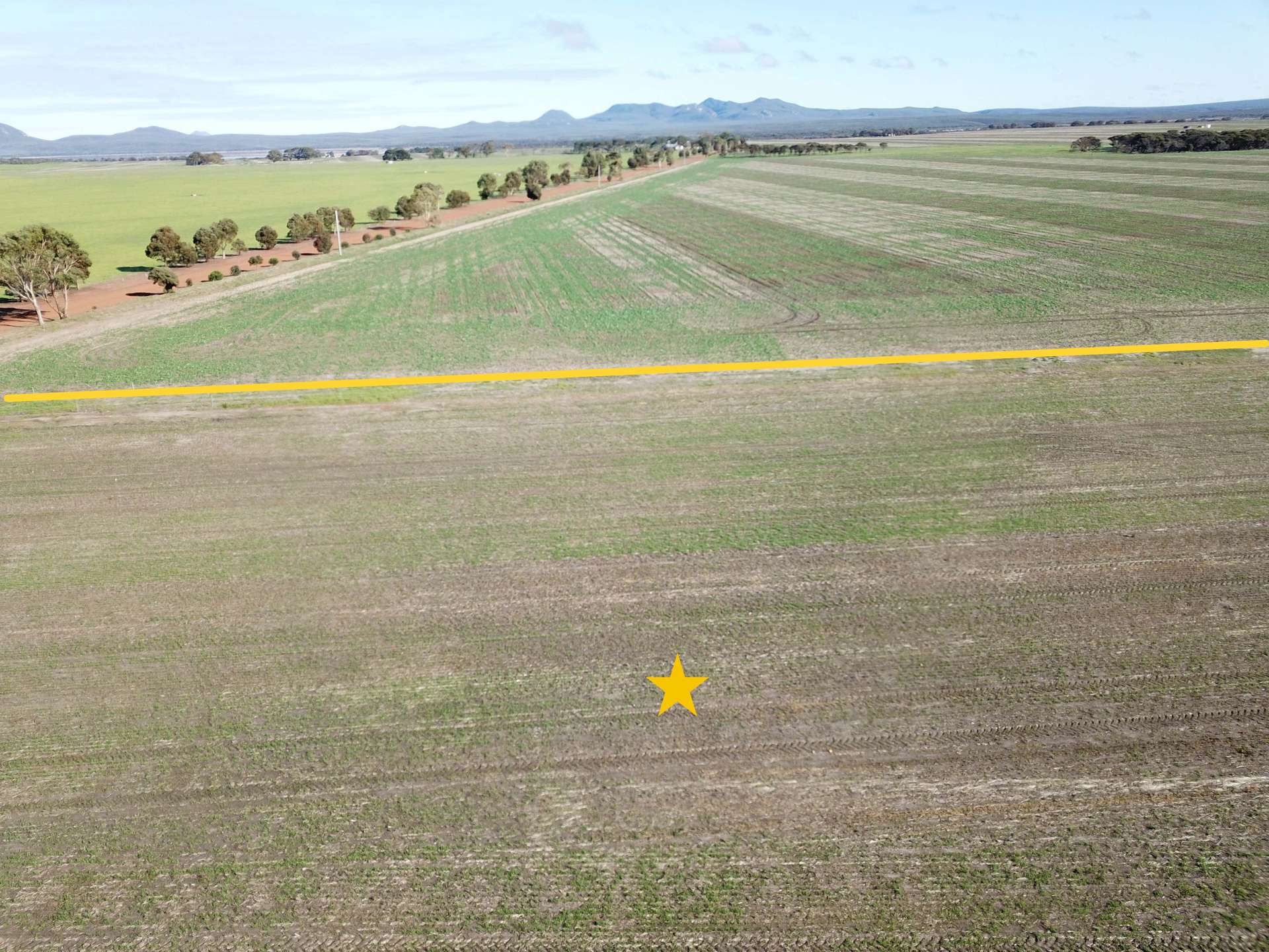 208 Steredale Road, Hopetoun For Sale by Farmbuy.com - image 6