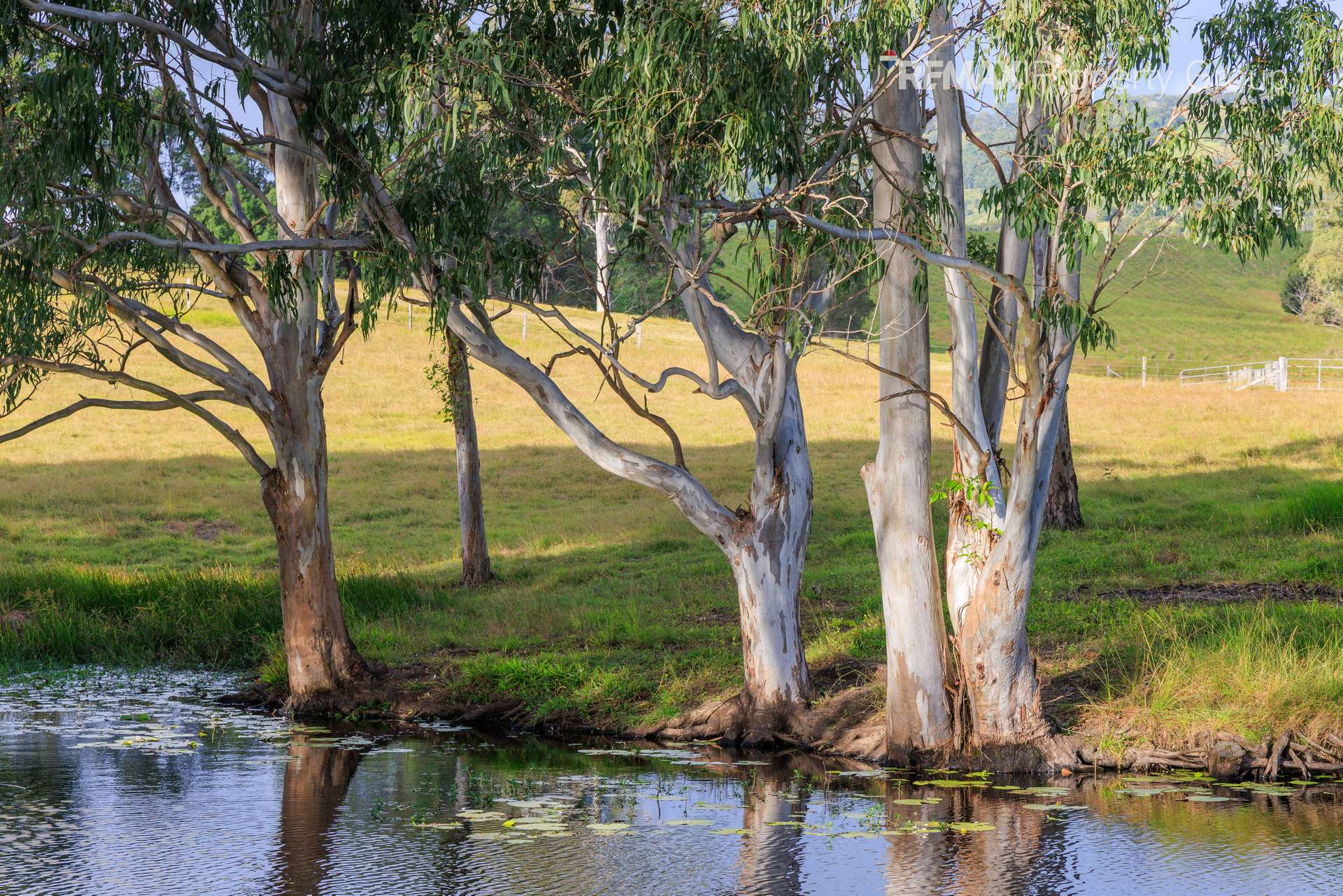 37 Pope Road, Mothar Mountain For Sale by Farmbuy.com - image 35