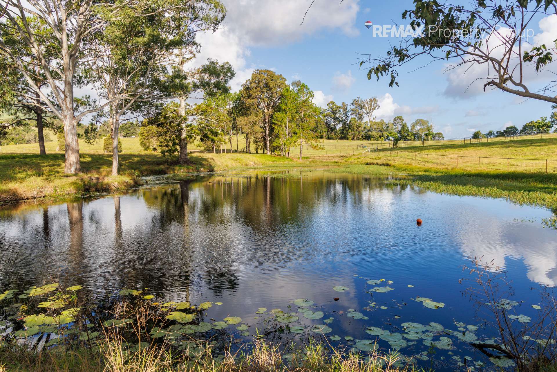 37 Pope Road, Mothar Mountain For Sale by Farmbuy.com - image 33