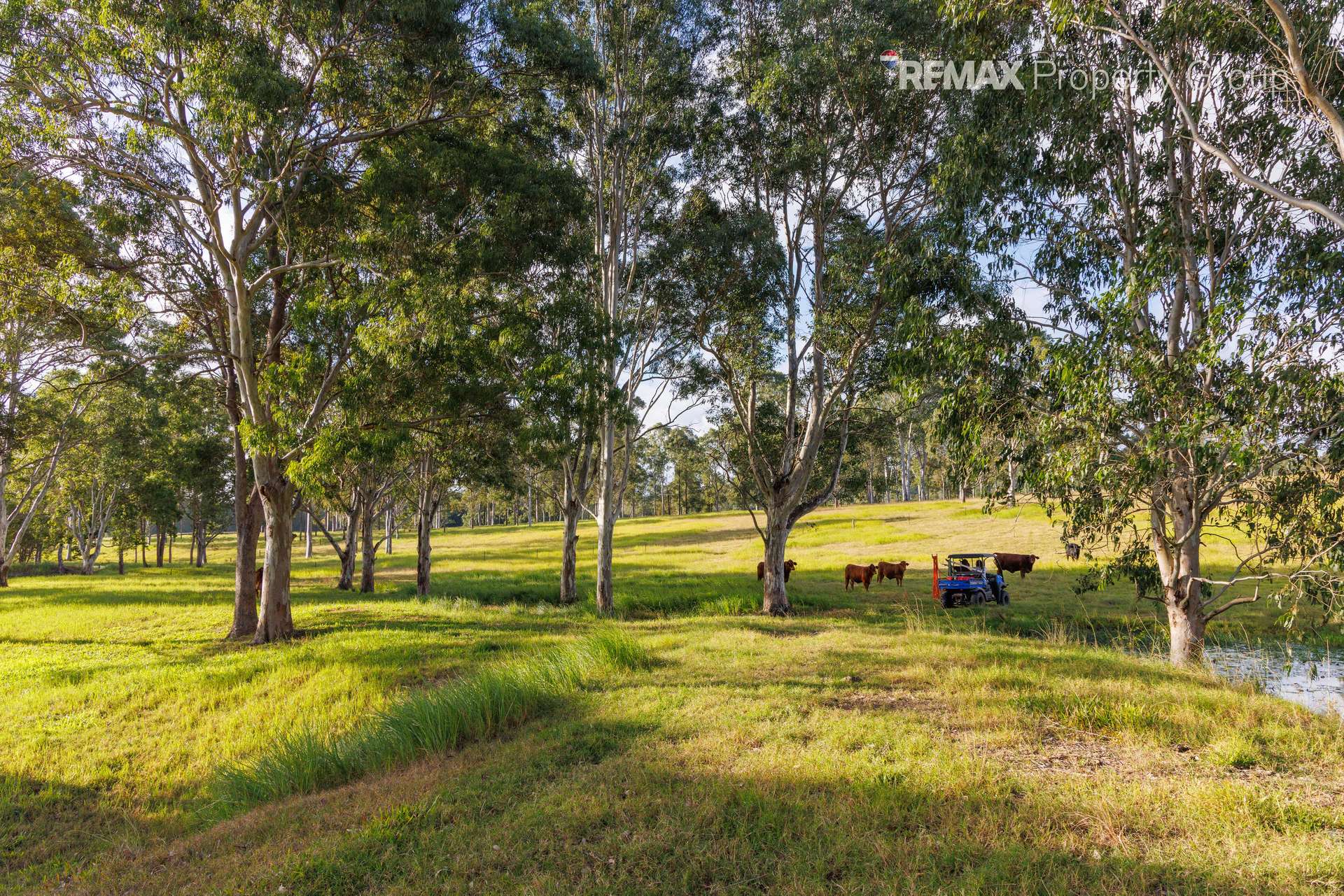 37 Pope Road, Mothar Mountain For Sale by Farmbuy.com - image 30