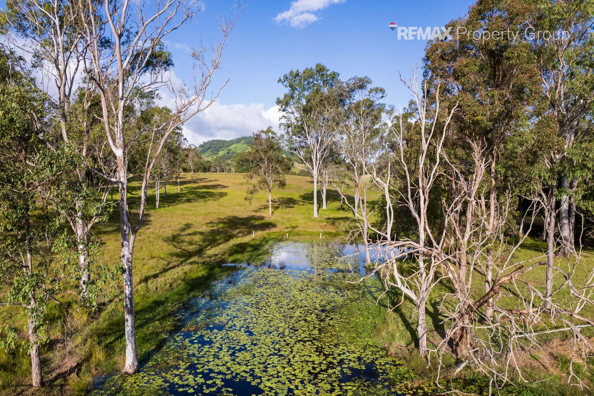37 Pope Road, Mothar Mountain For Sale by Farmbuy.com - image 34