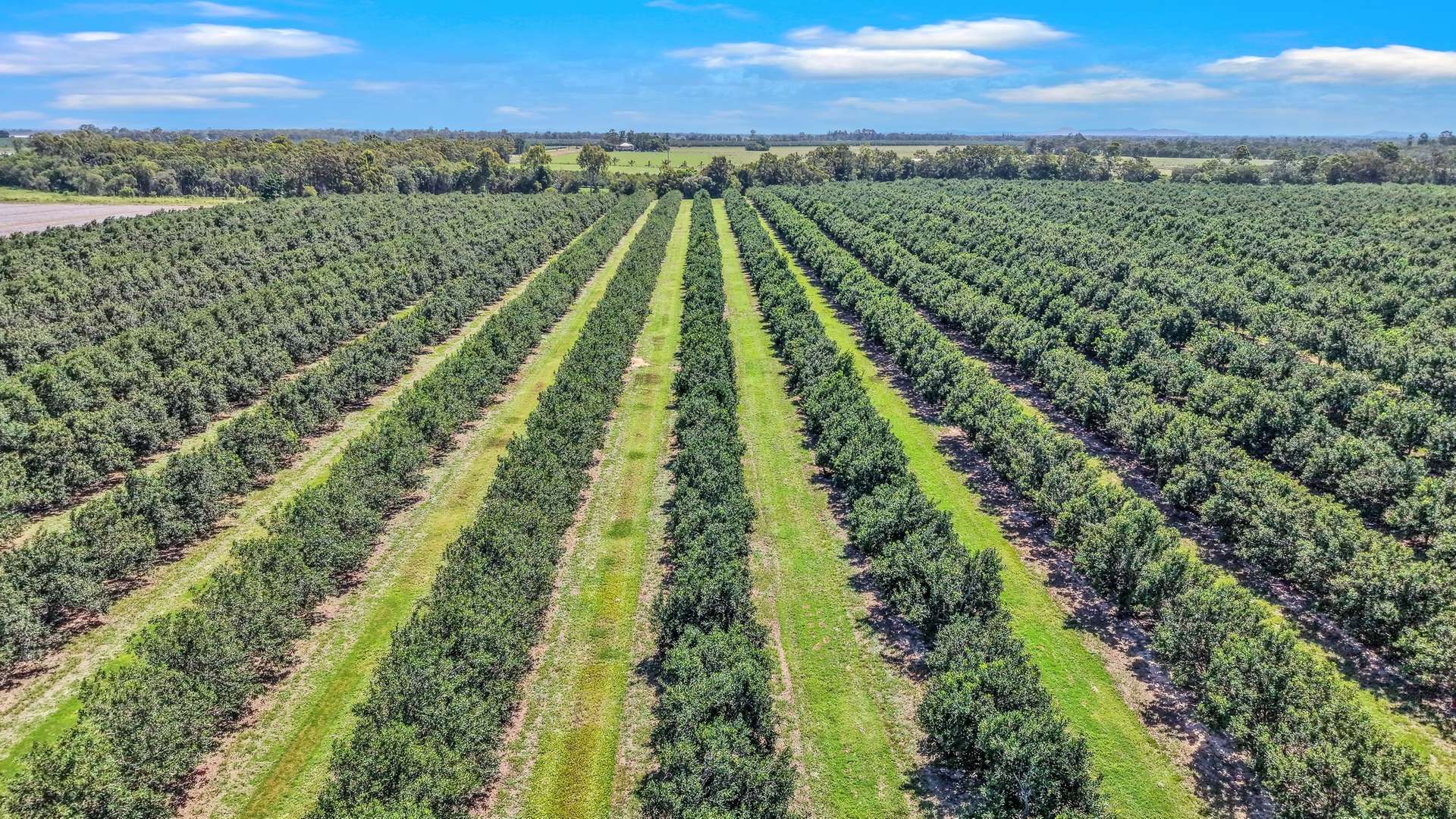 195 Pashleys Road, Welcome Creek For Sale by Farmbuy.com - image 12