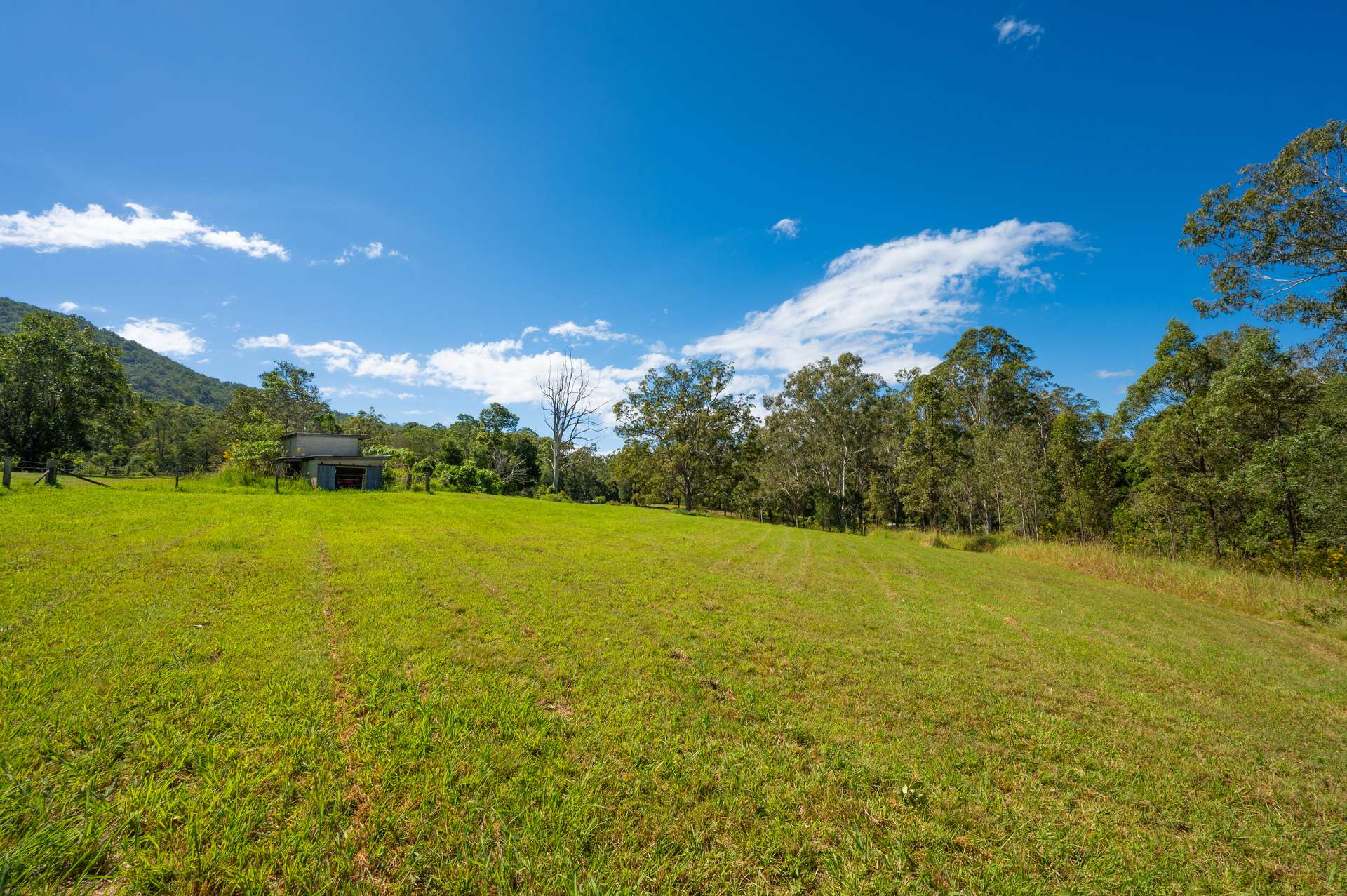 Lot 1 622 Cedar Creek Road, Cedar Creek For Sale by Farmbuy.com - image 11