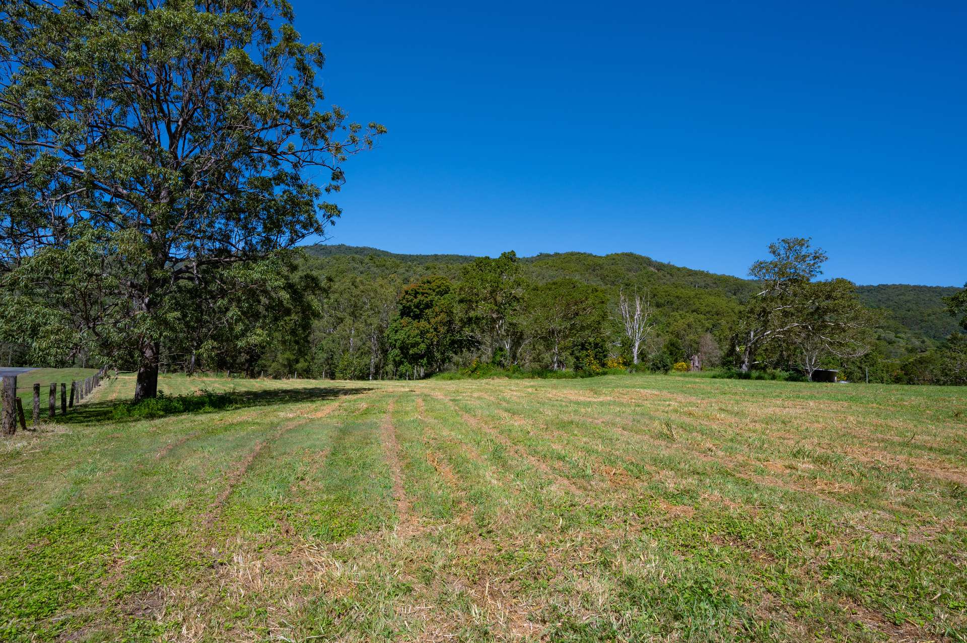 Lot 1 622 Cedar Creek Road, Cedar Creek For Sale by Farmbuy.com - image 3