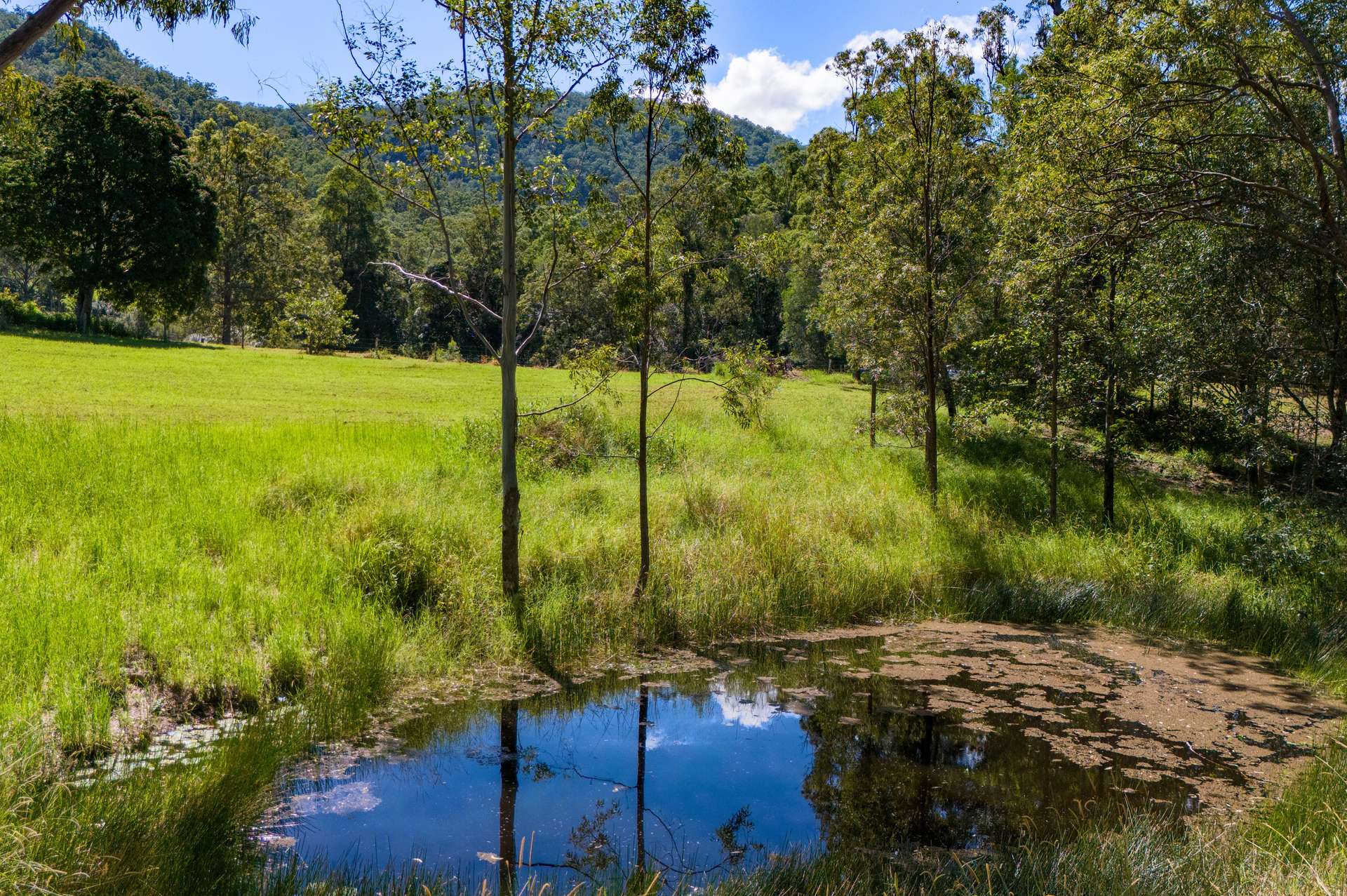 Lot 1 622 Cedar Creek Road, Cedar Creek For Sale by Farmbuy.com - image 7