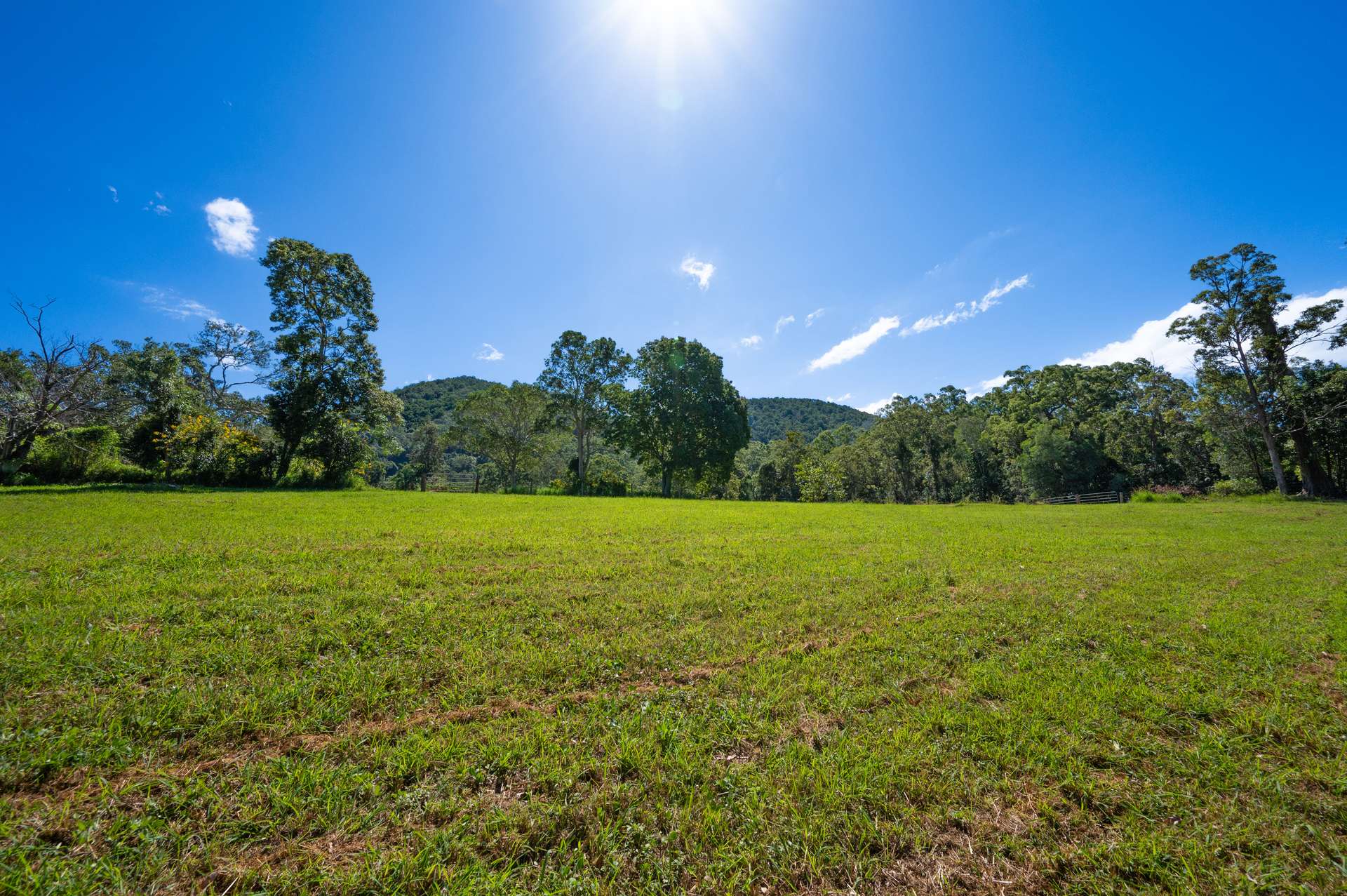 Lot 1 622 Cedar Creek Road, Cedar Creek For Sale by Farmbuy.com - image 9