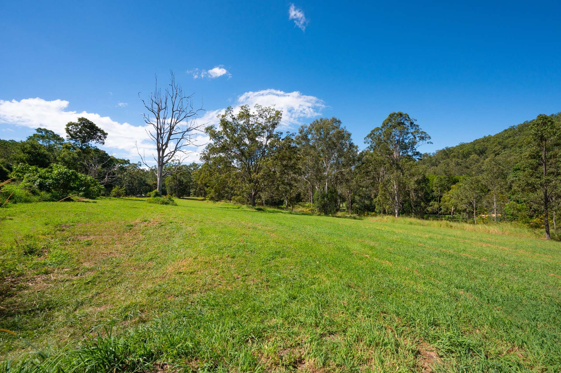 Lot 1 622 Cedar Creek Road, Cedar Creek For Sale by Farmbuy.com - image 10