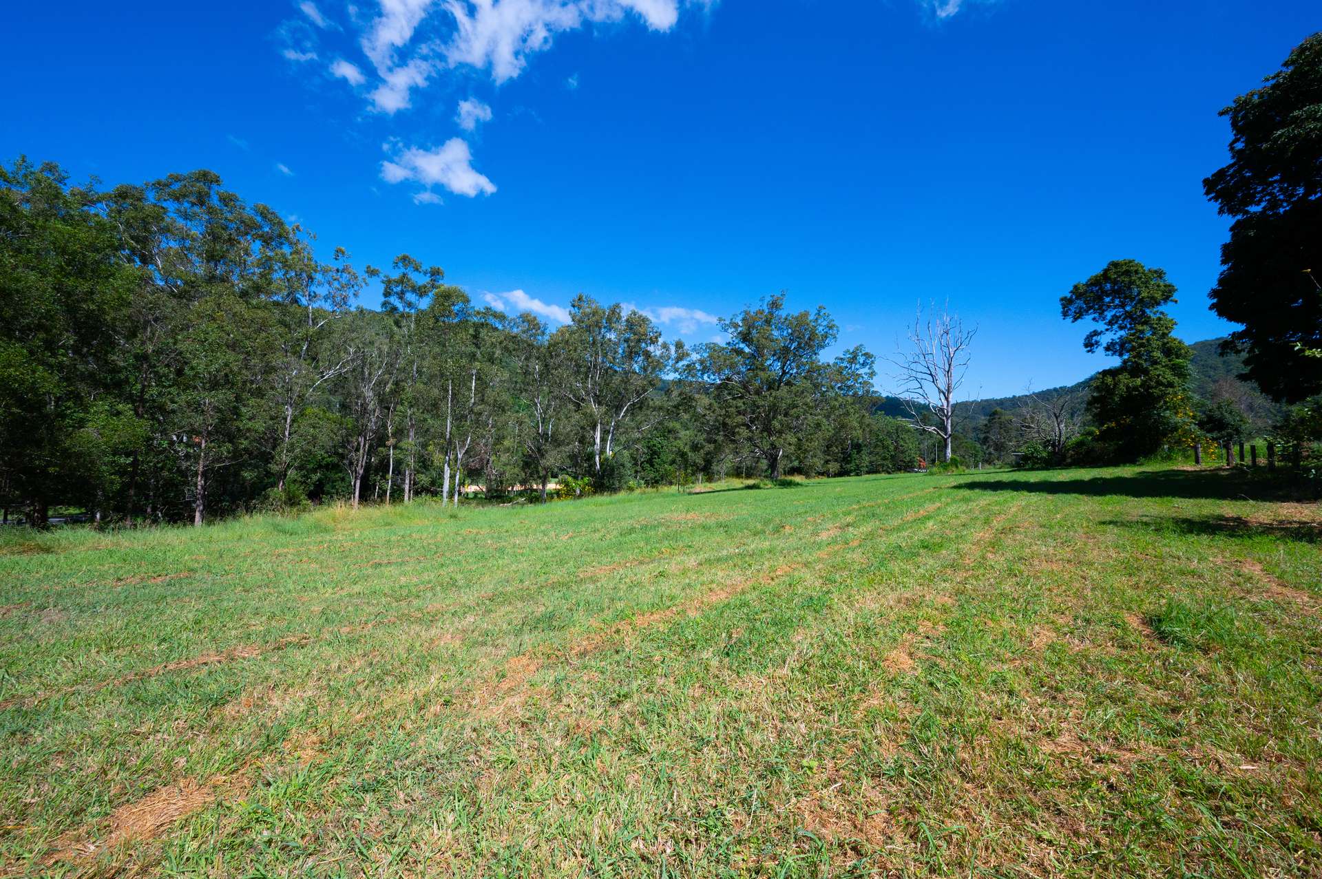 Lot 1 622 Cedar Creek Road, Cedar Creek For Sale by Farmbuy.com - image 14