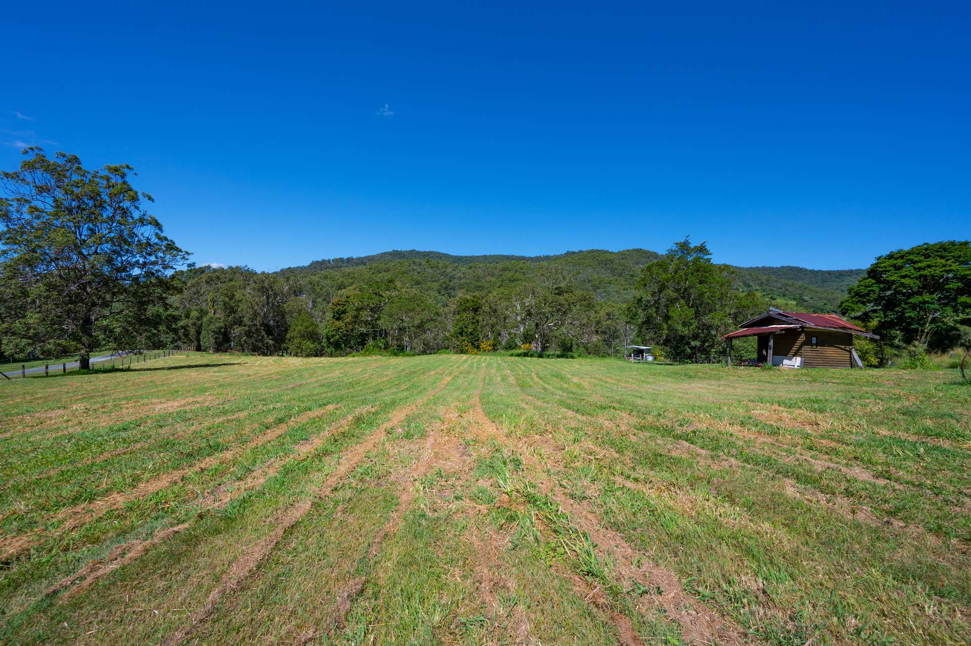 Lot 1 622 Cedar Creek Road, Cedar Creek For Sale by Farmbuy.com - image 12