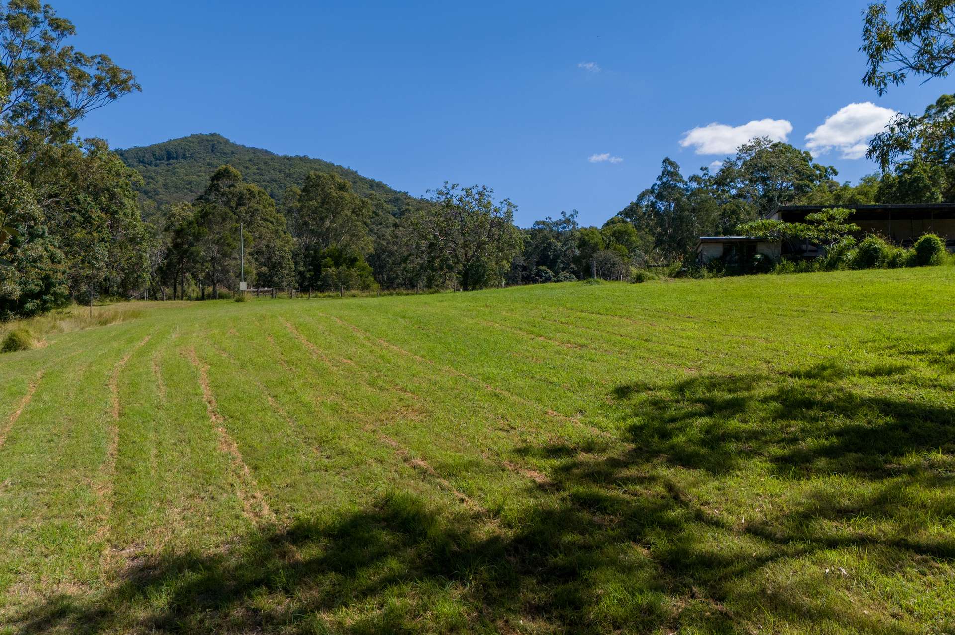 Lot 1 622 Cedar Creek Road, Cedar Creek For Sale by Farmbuy.com - image 13