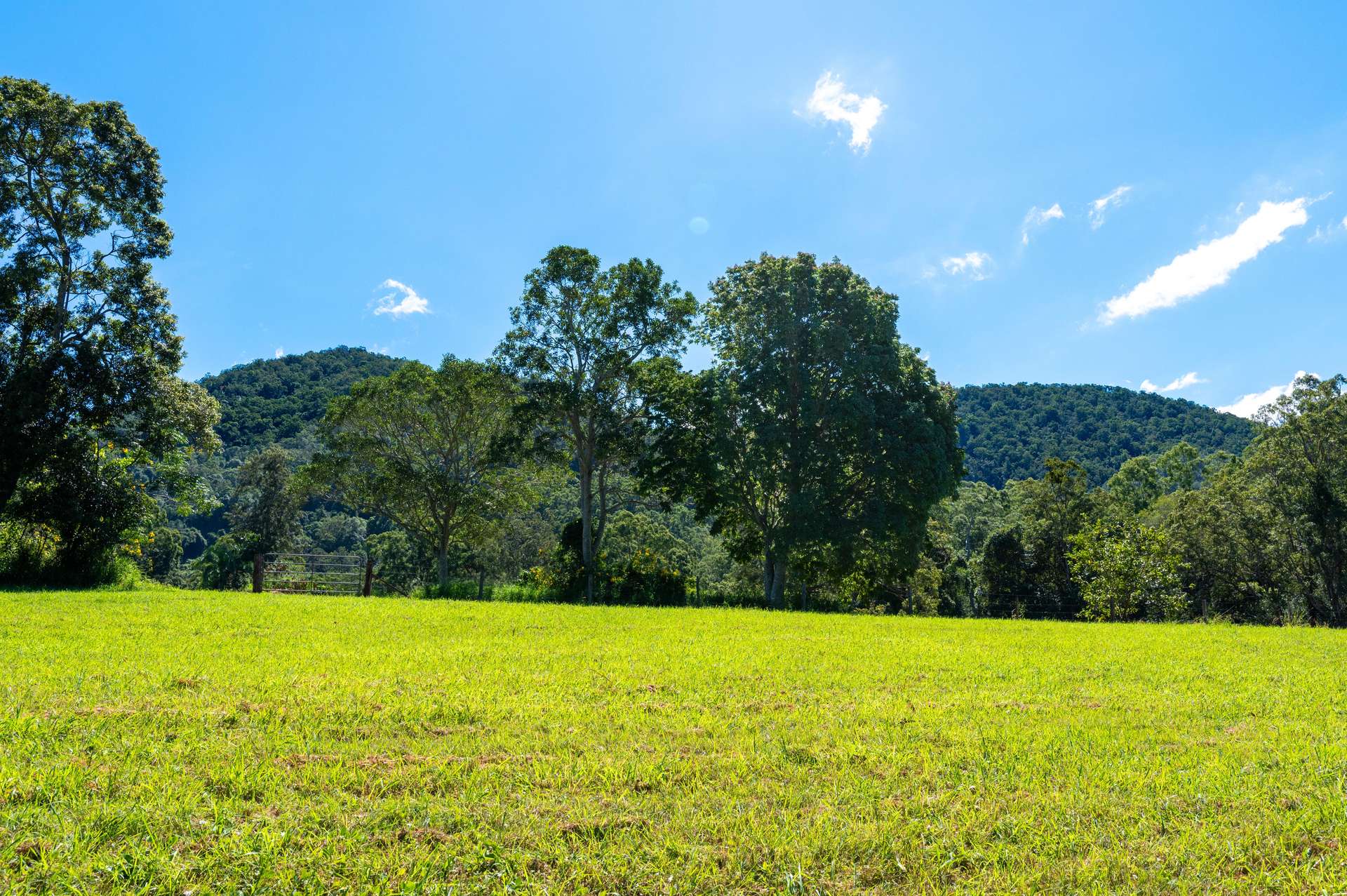 Lot 1 622 Cedar Creek Road, Cedar Creek For Sale by Farmbuy.com - image 2