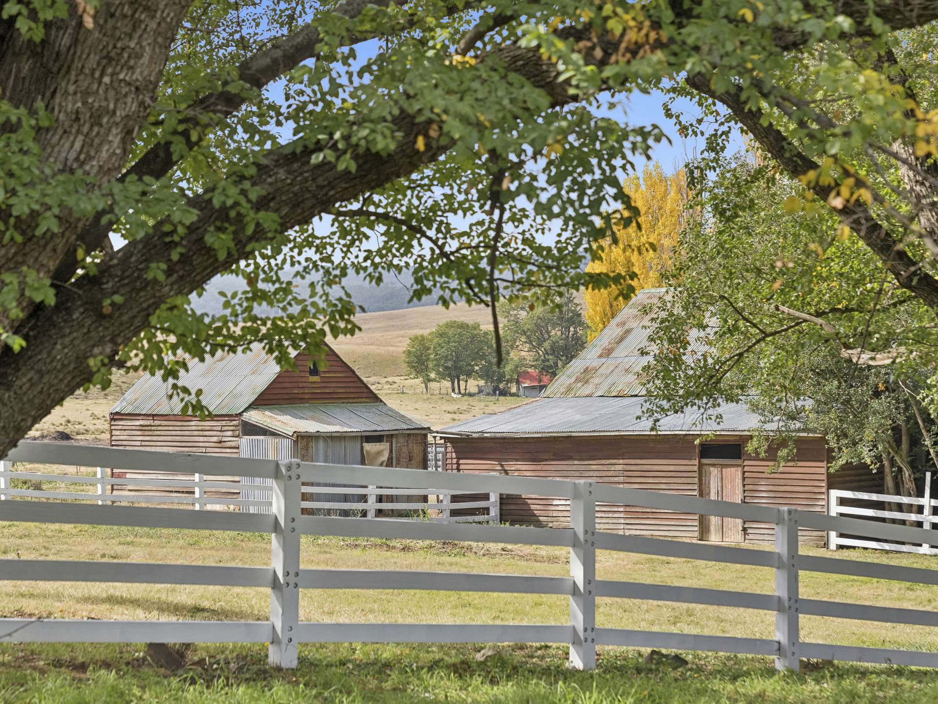 1318 Rose Valley Road, Rose Valley For Sale by Farmbuy.com - image 2
