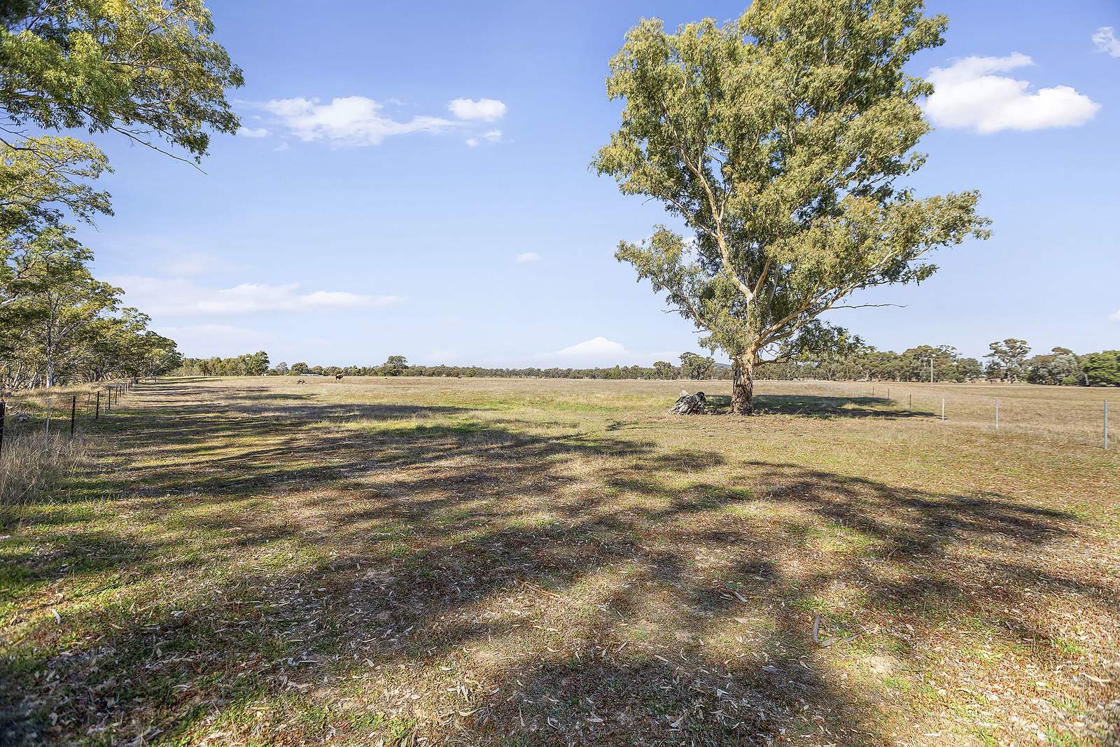 1314 Shelbourne Road, Shelbourne For Sale by Farmbuy.com - image 22