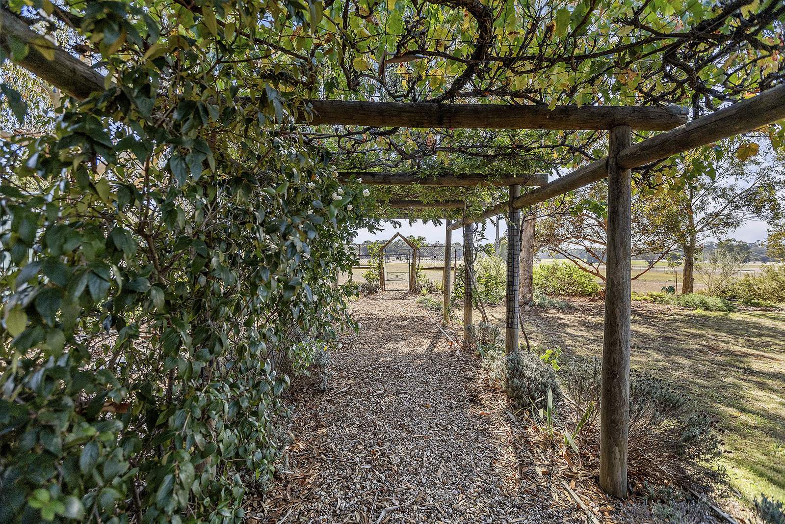 1314 Shelbourne Road, Shelbourne For Sale by Farmbuy.com - image 9