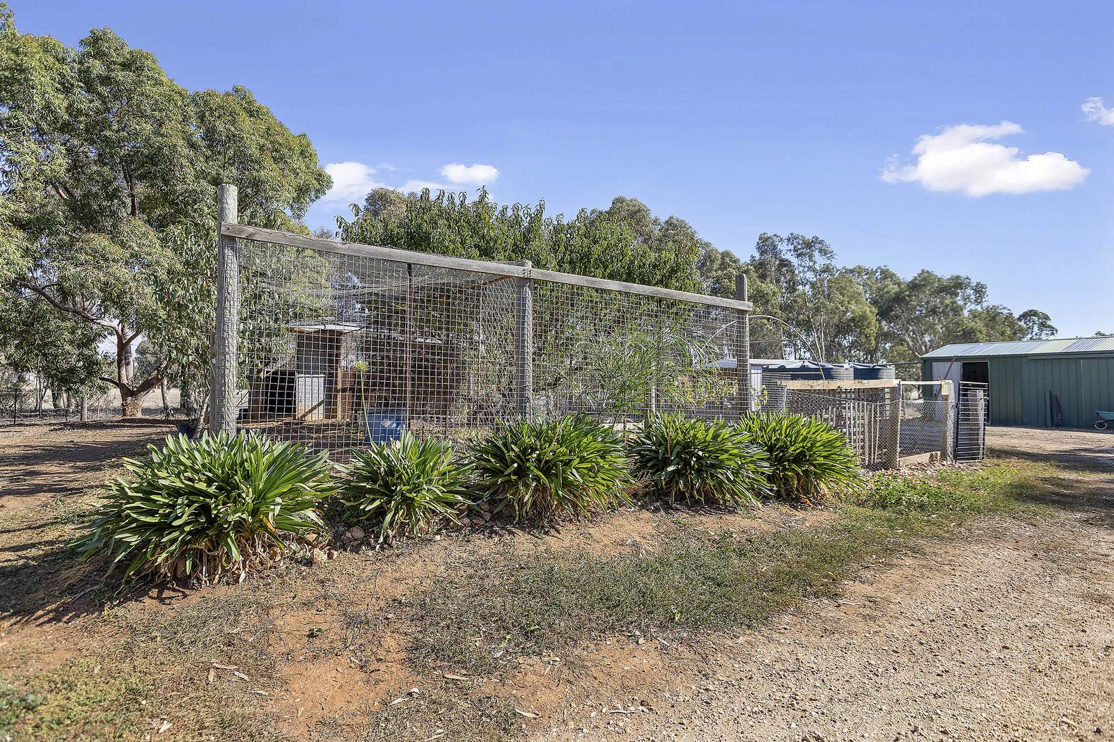 1314 Shelbourne Road, Shelbourne For Sale by Farmbuy.com - image 10
