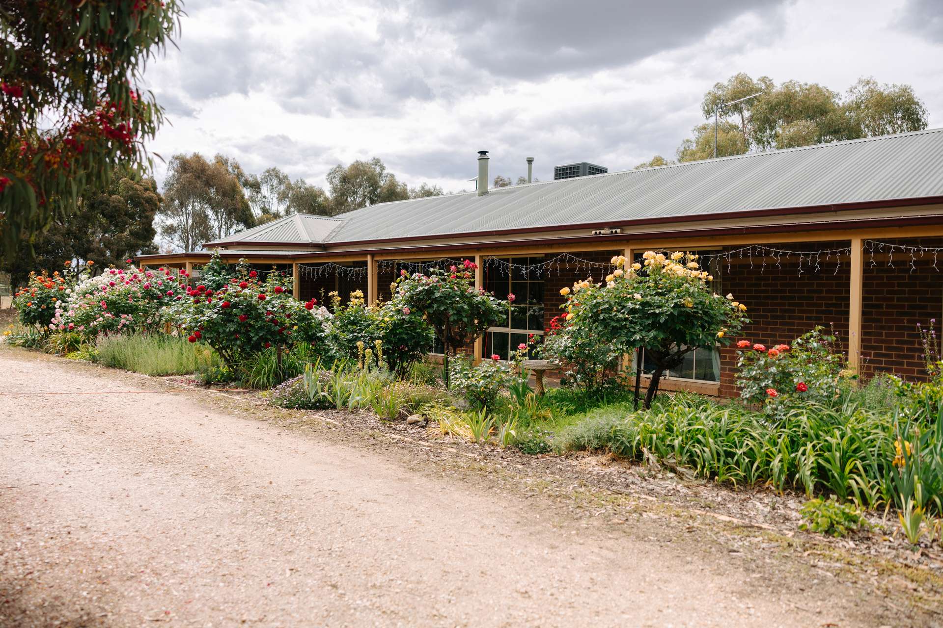 1314 Shelbourne Road, Shelbourne For Sale by Farmbuy.com - image 3