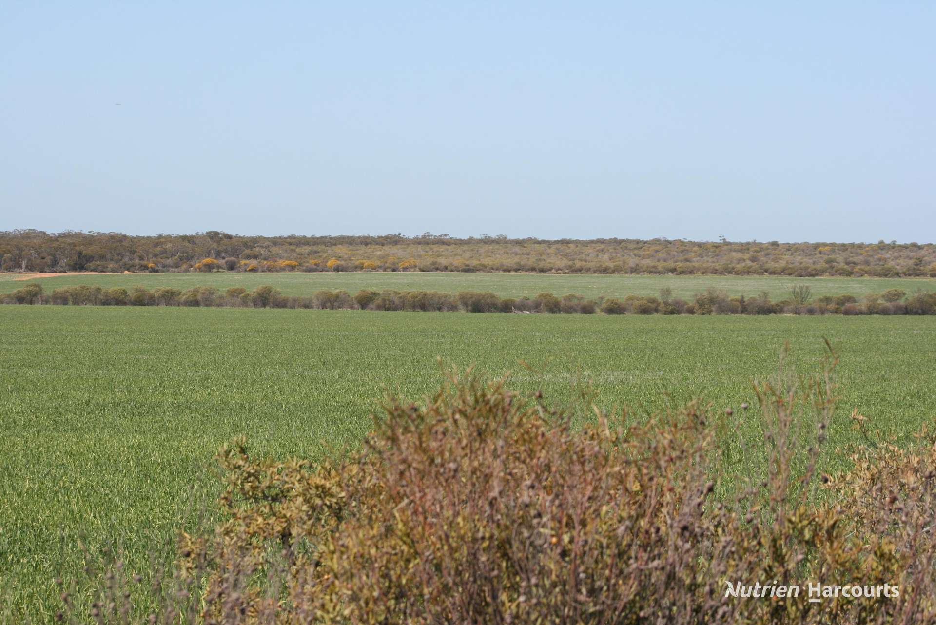 . Chandler-Nungarin Road, Nungarin For Sale by Farmbuy.com - image 14