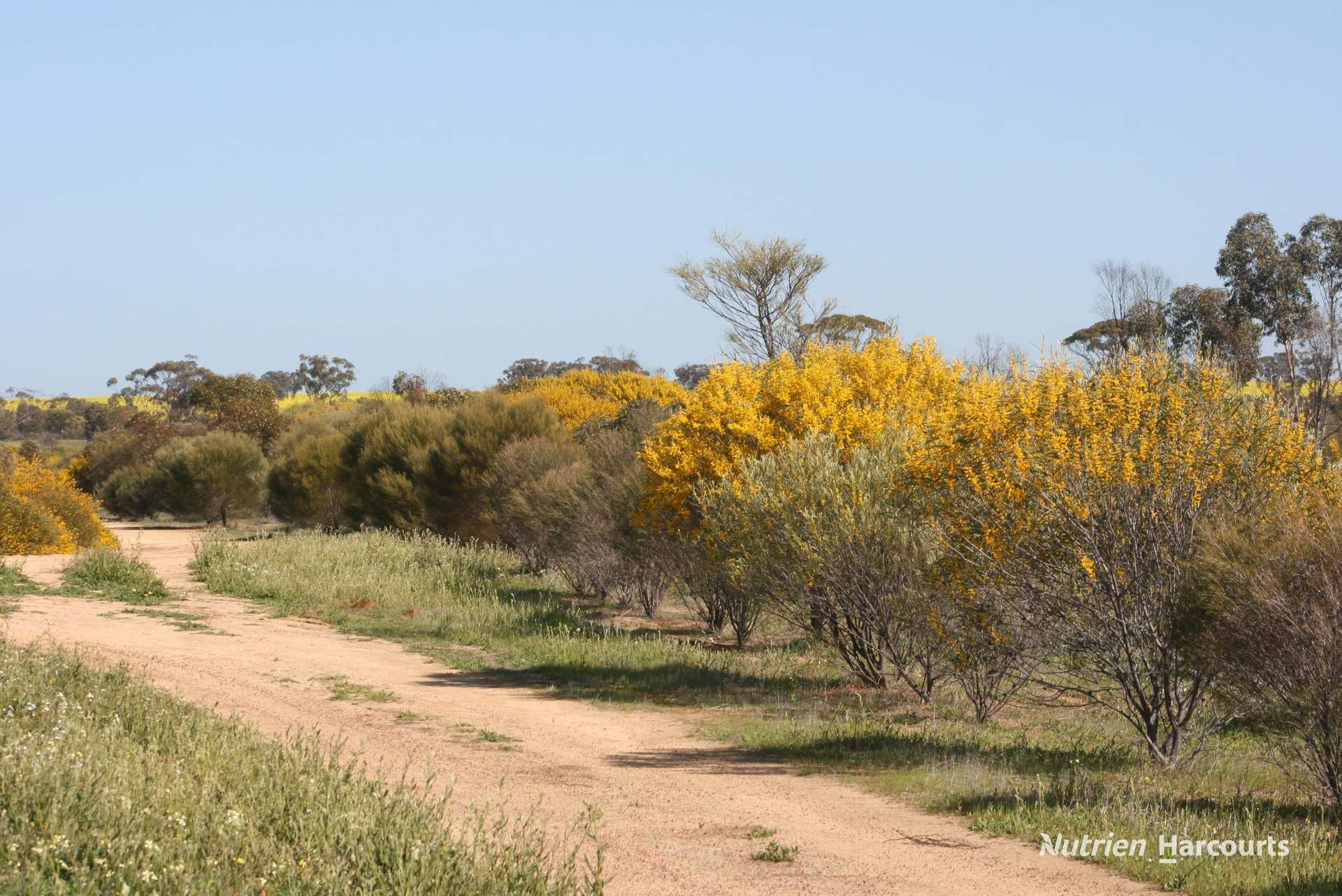. Chandler-Nungarin Road, Nungarin For Sale by Farmbuy.com - image 7