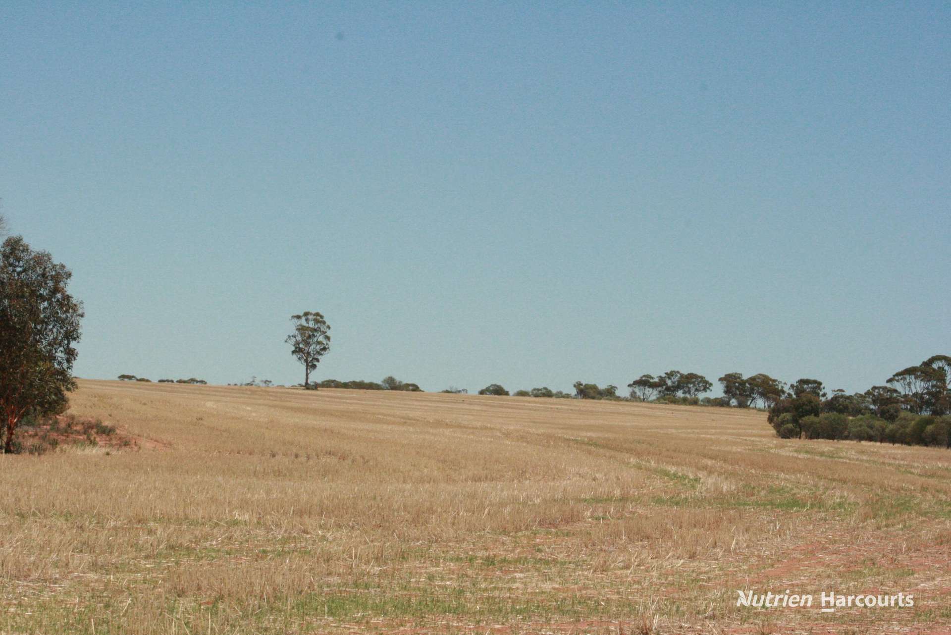 . Chandler-Nungarin Road, Nungarin For Sale by Farmbuy.com - image 8
