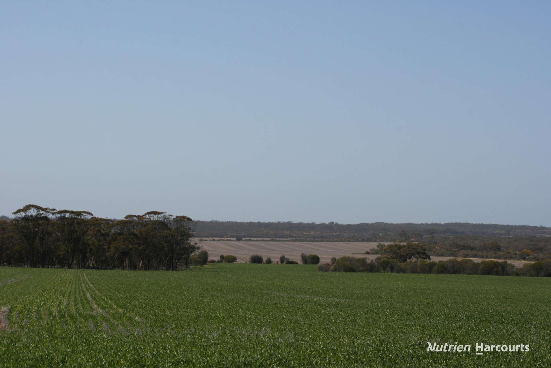 . Chandler-Nungarin Road, Nungarin For Sale by Farmbuy.com - image 11