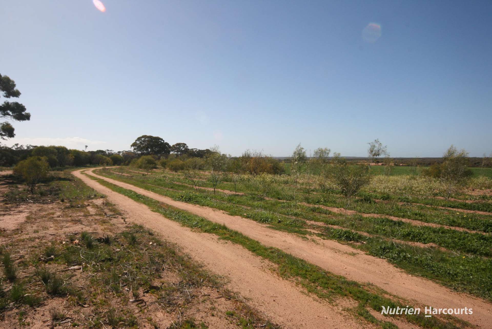 . Chandler-Nungarin Road, Nungarin For Sale by Farmbuy.com - image 10