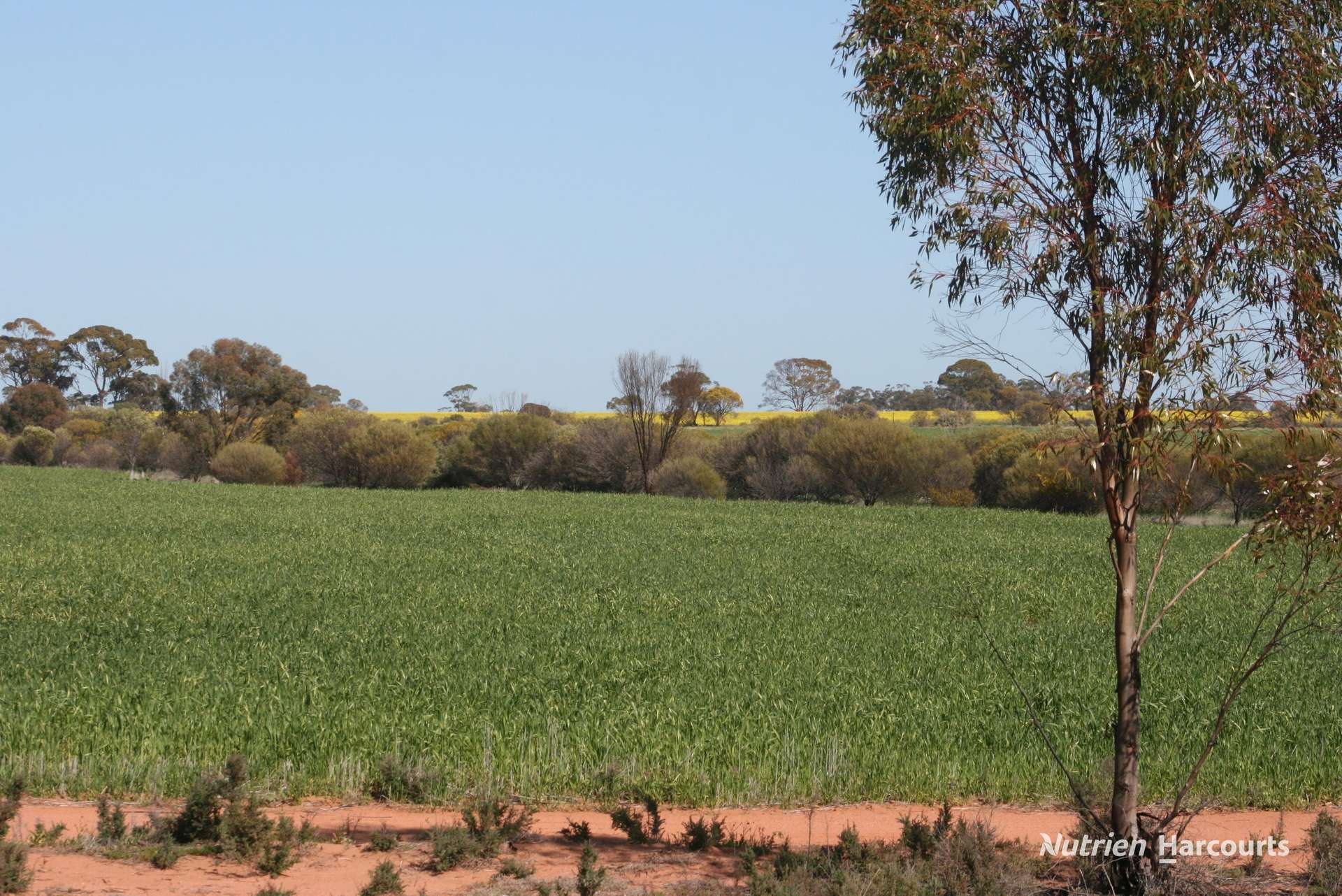 . Chandler-Nungarin Road, Nungarin For Sale by Farmbuy.com - image 8