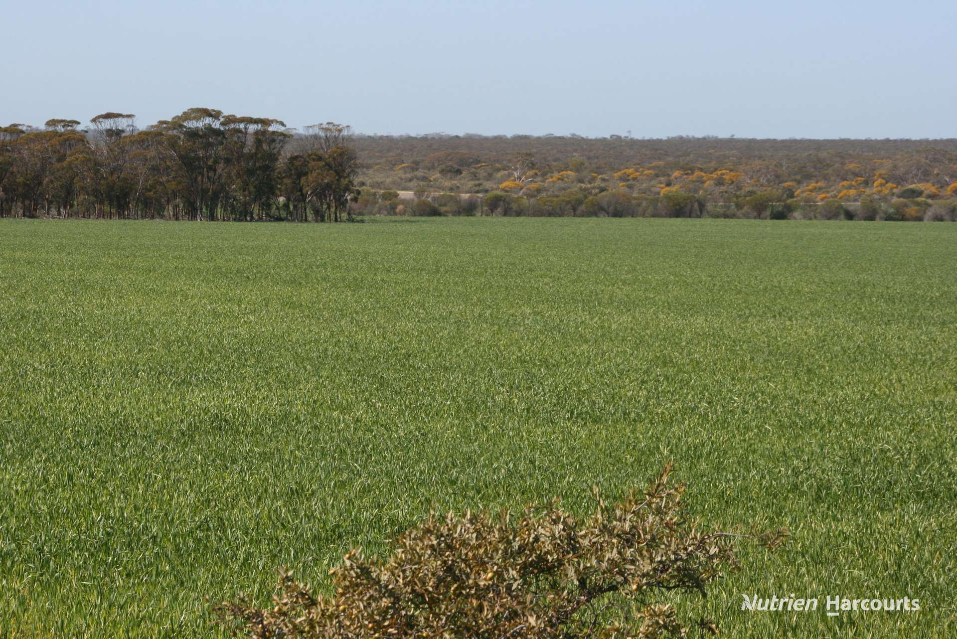 . Chandler-Nungarin Road, Nungarin For Sale by Farmbuy.com - image 13