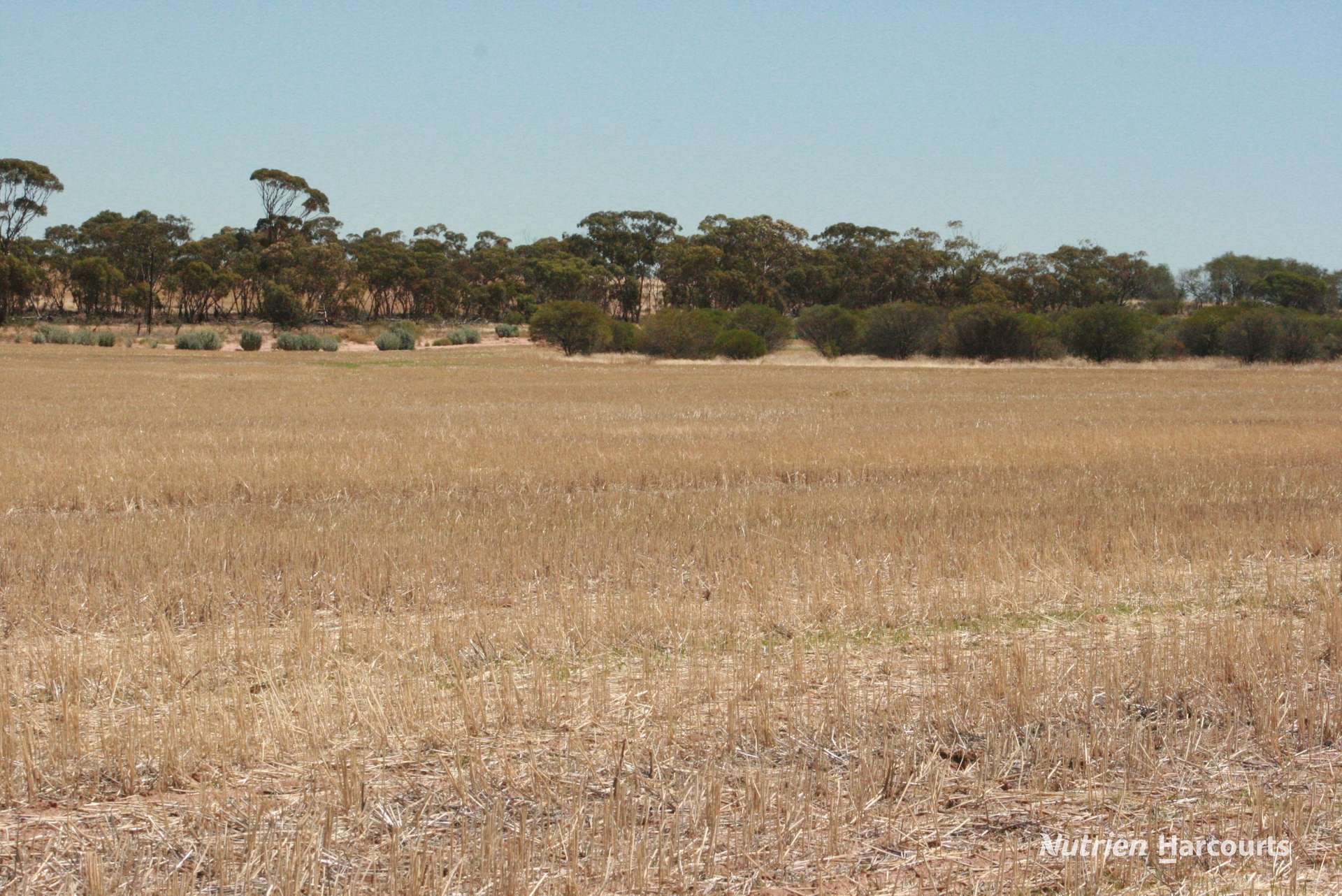 . Chandler-Nungarin Road, Nungarin For Sale by Farmbuy.com - image 4