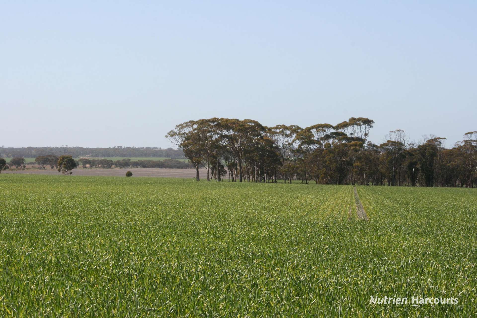 . Chandler-Nungarin Road, Nungarin For Sale by Farmbuy.com - image 12