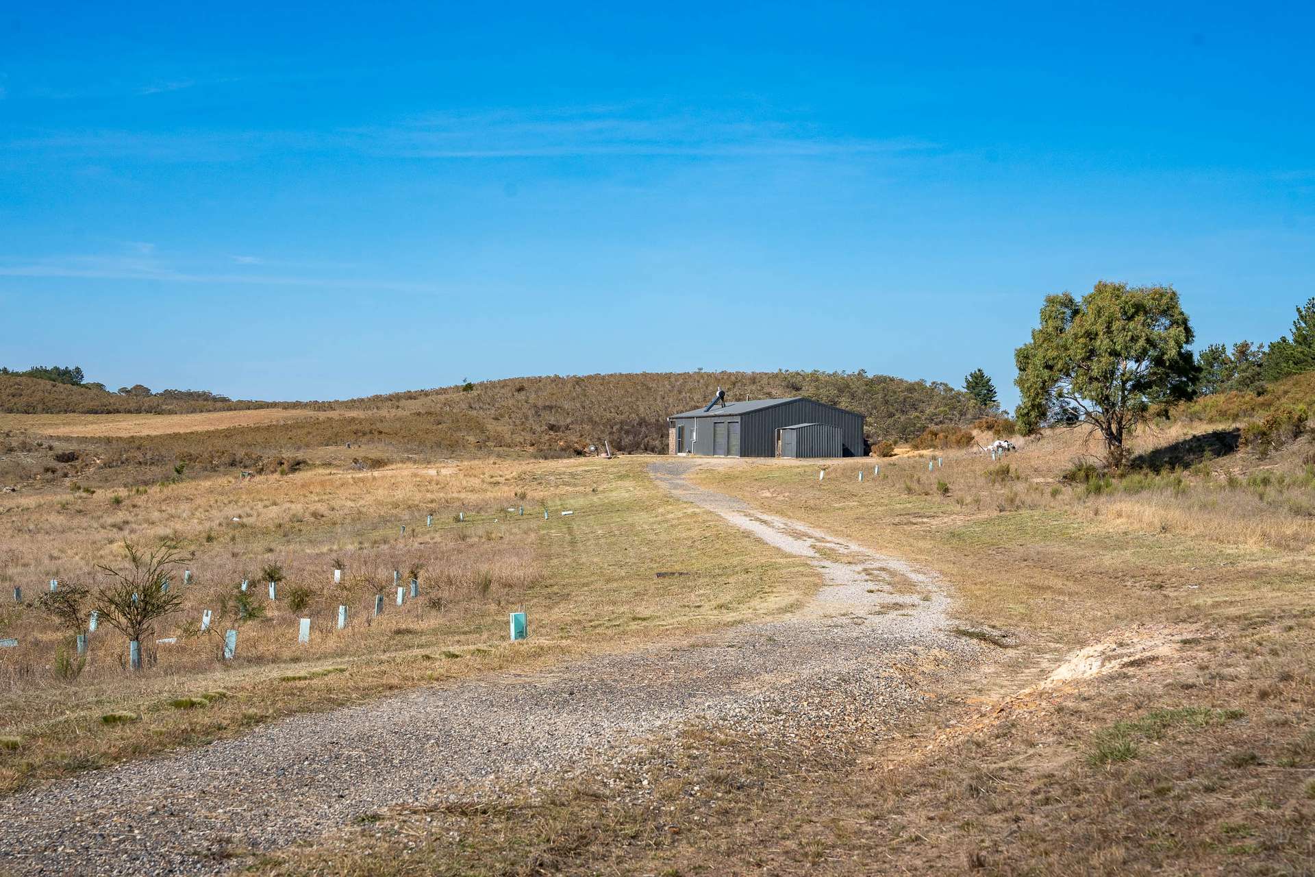 3098 Oallen Ford Road Windellama Via, Goulburn Auction by Farmbuy.com - image 1