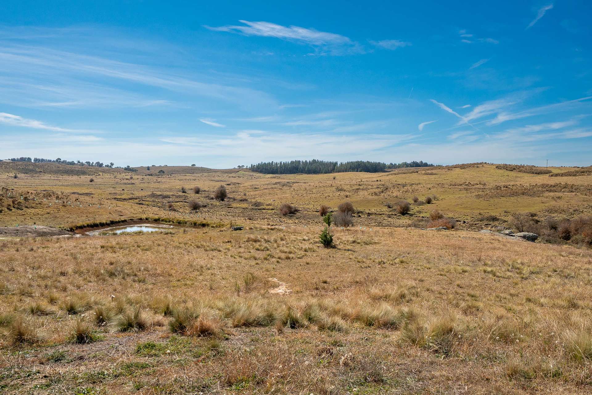 3098 Oallen Ford Road Windellama Via, Goulburn Auction by Farmbuy.com - image 7
