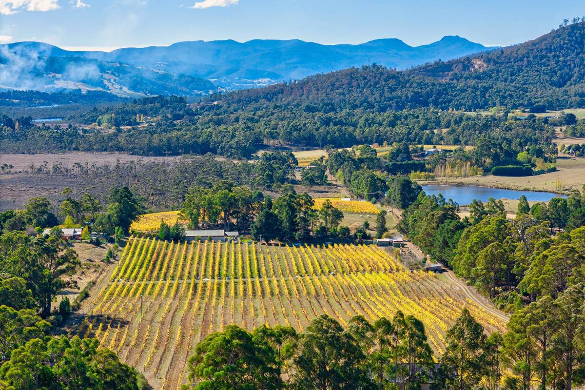 1848 Cygnet Coast Road, Cradoc For Sale by Farmbuy.com - image 6