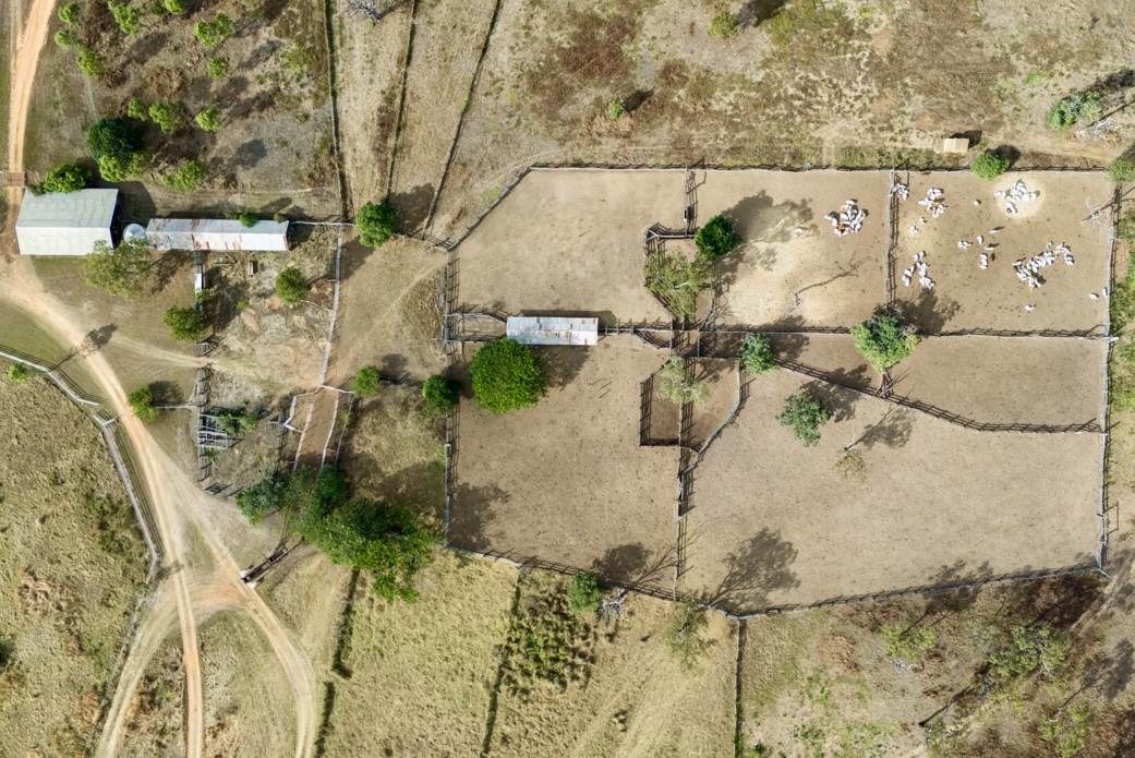 Greenvale Auction by Farmbuy.com - image 19