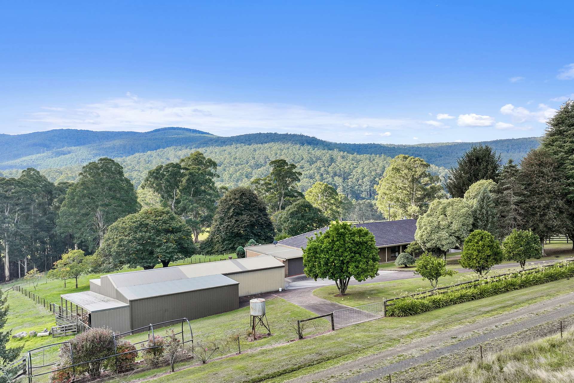 54 Cleaver Road, Piedmont For Sale by Farmbuy.com - image 32