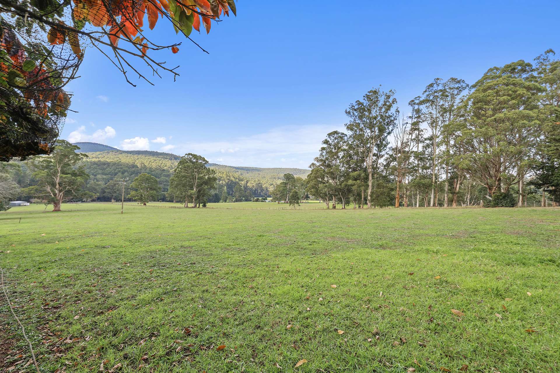 54 Cleaver Road, Piedmont For Sale by Farmbuy.com - image 22
