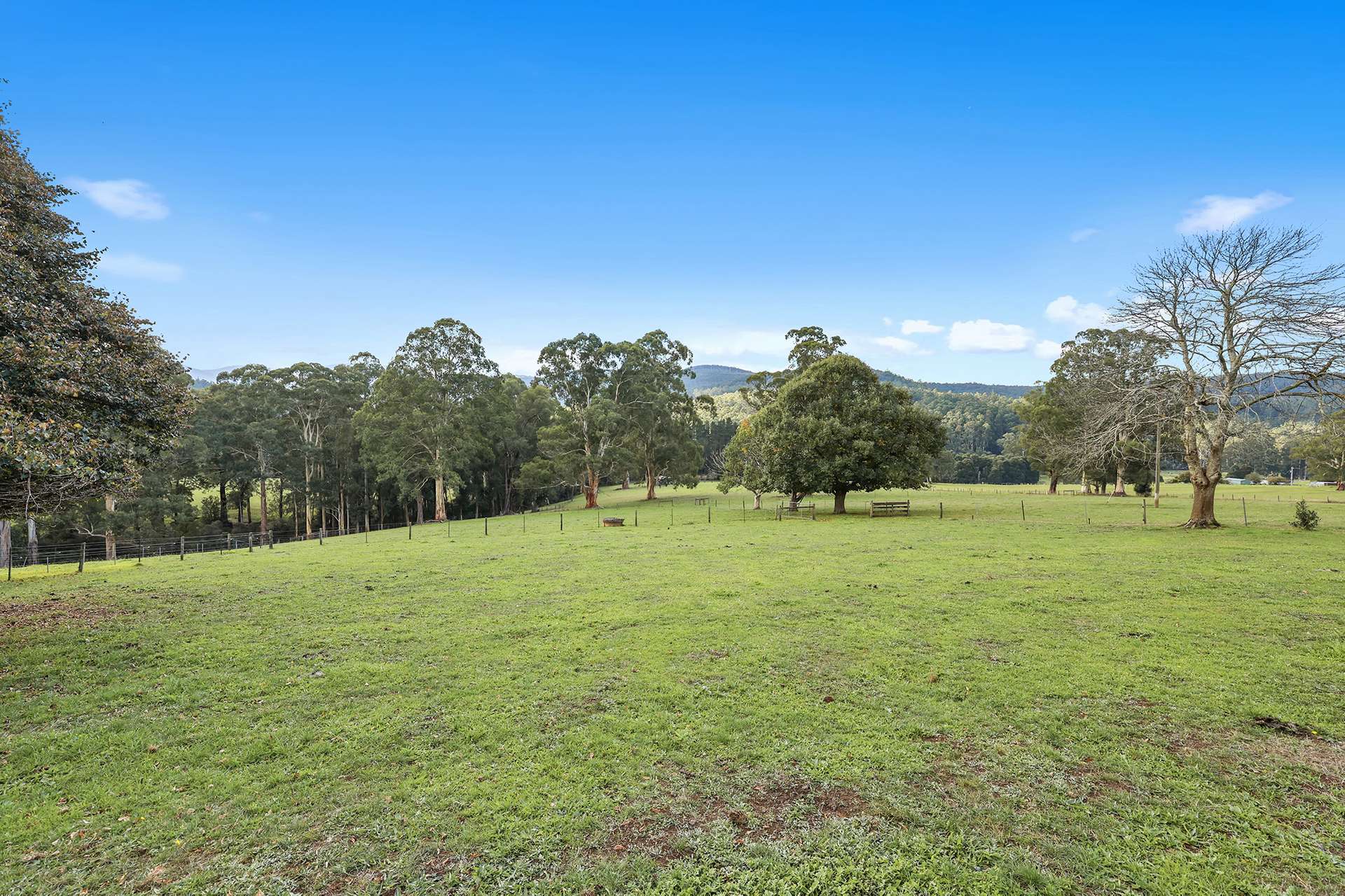 54 Cleaver Road, Piedmont For Sale by Farmbuy.com - image 23