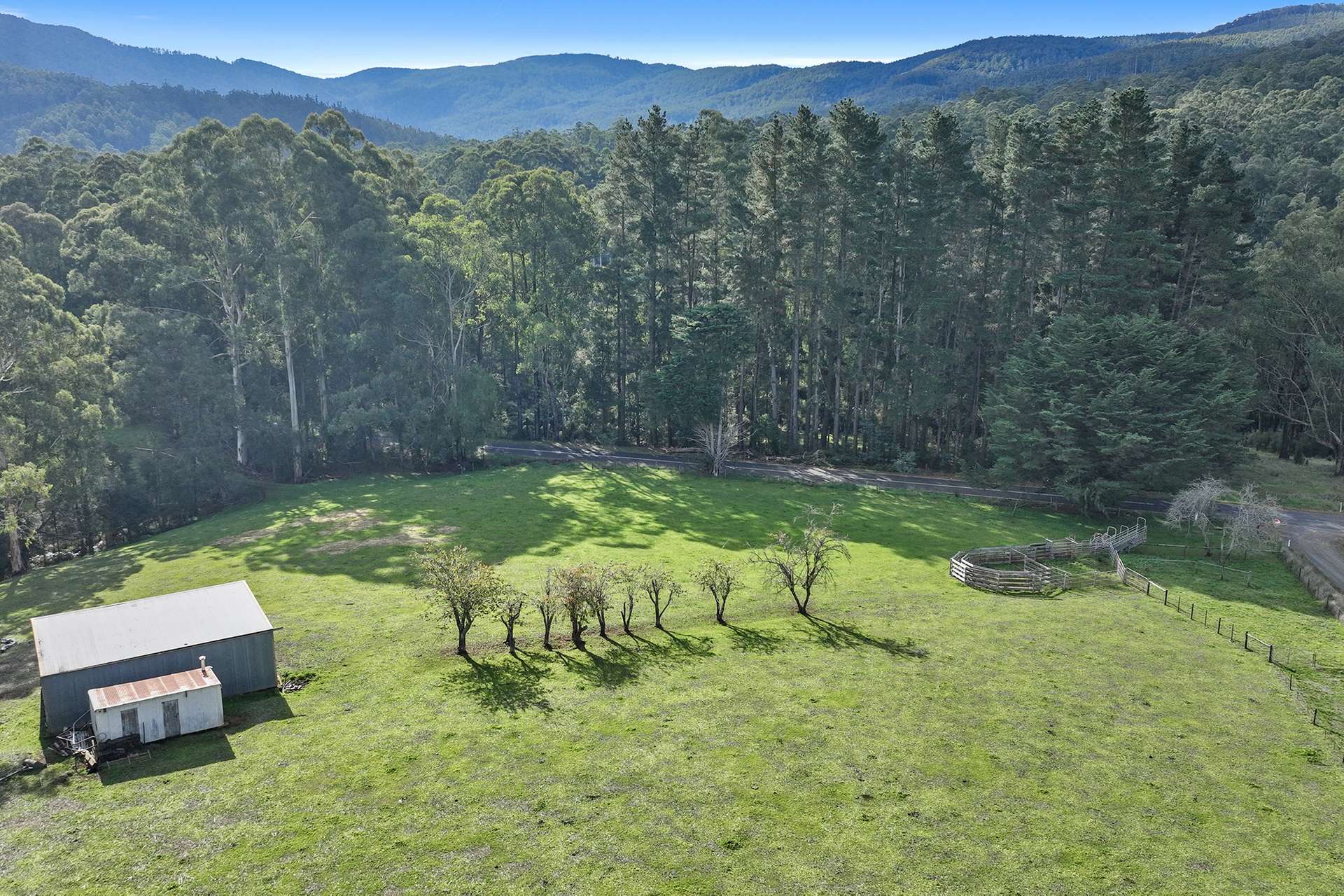 54 Cleaver Road, Piedmont For Sale by Farmbuy.com - image 25