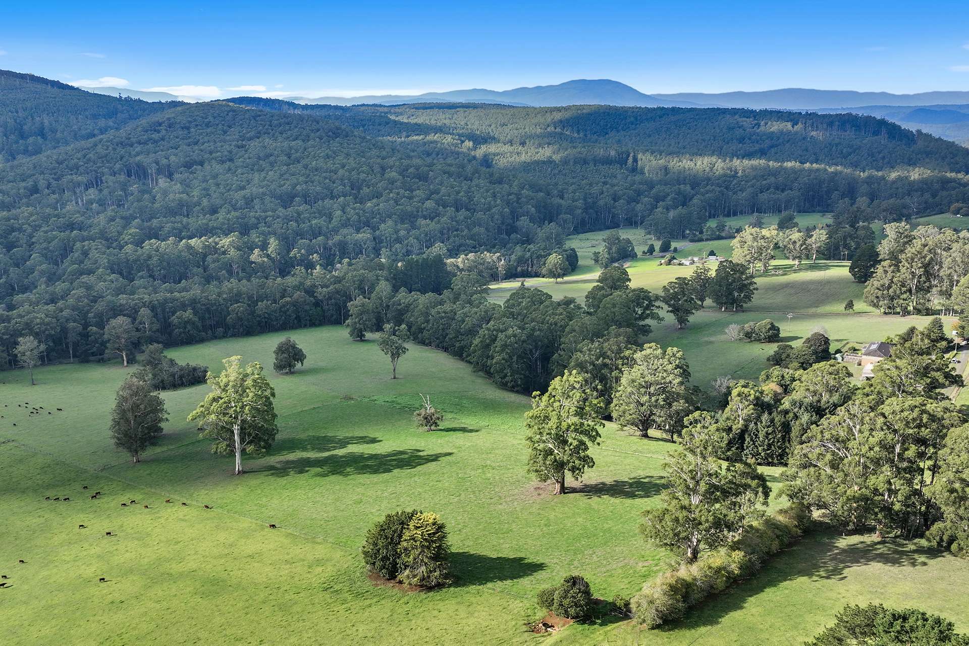 54 Cleaver Road, Piedmont For Sale by Farmbuy.com - image 27