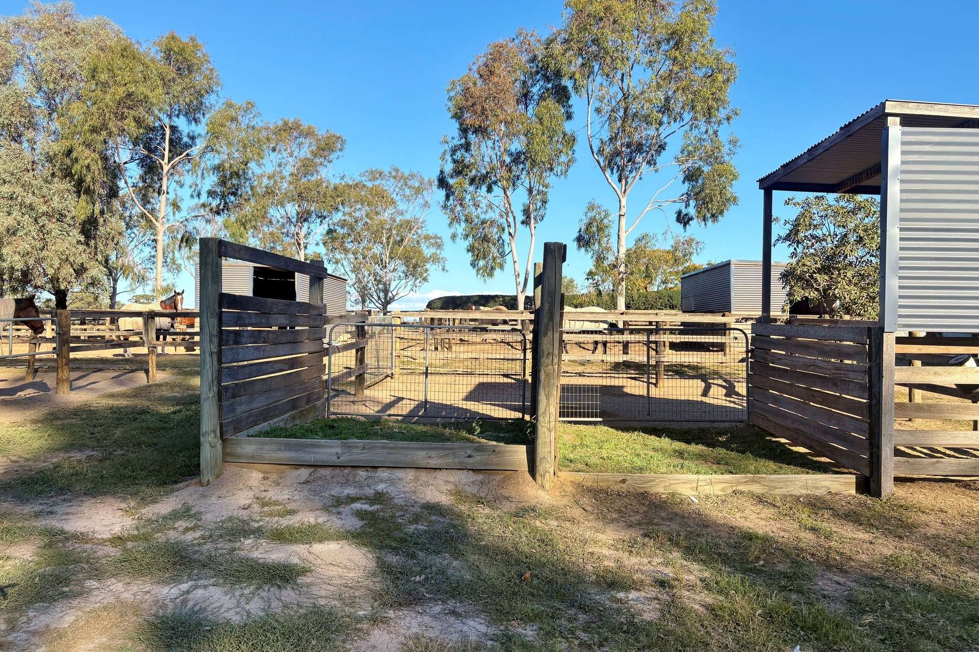 82 Winton-Lurg Road, Winton For Sale by Farmbuy.com - image 15