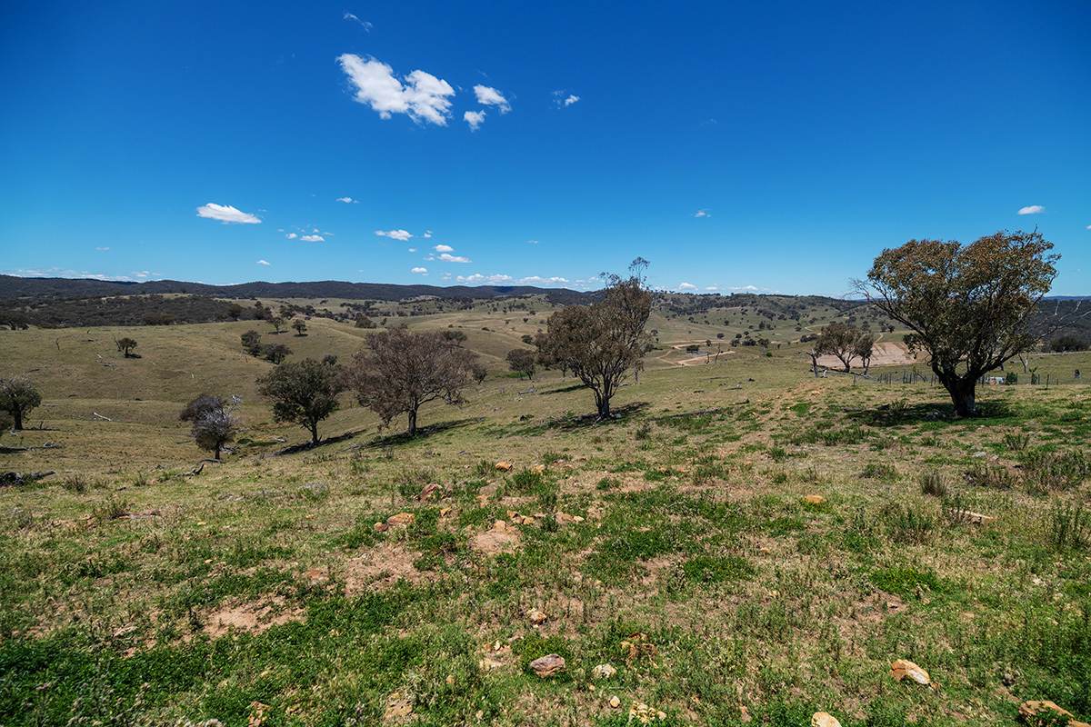 222 Roberts Road, Mudgee For Sale by Farmbuy.com - image 16